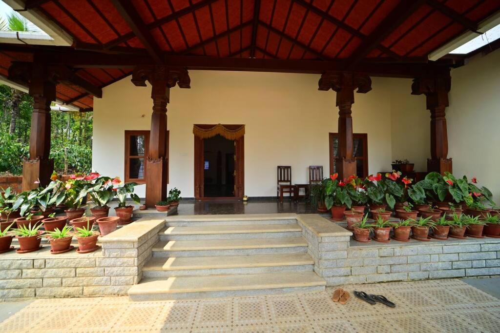 CoffeeINN Homestay - Private Cottage, Water Activities and Home Food view 3