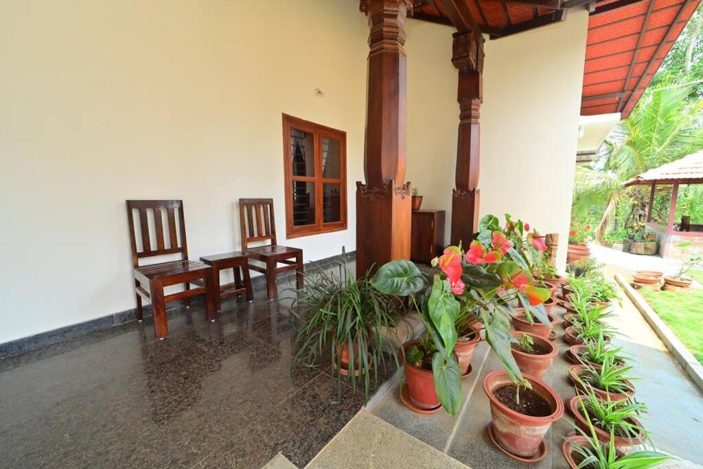 CoffeeINN Homestay - Private Cottage, Water Activities and Home Food view 4