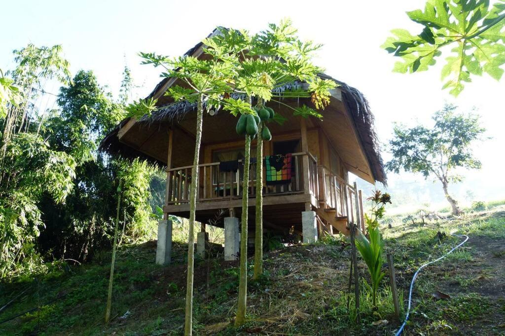 Sweet native Guesthouse in Paradise Garden view 5