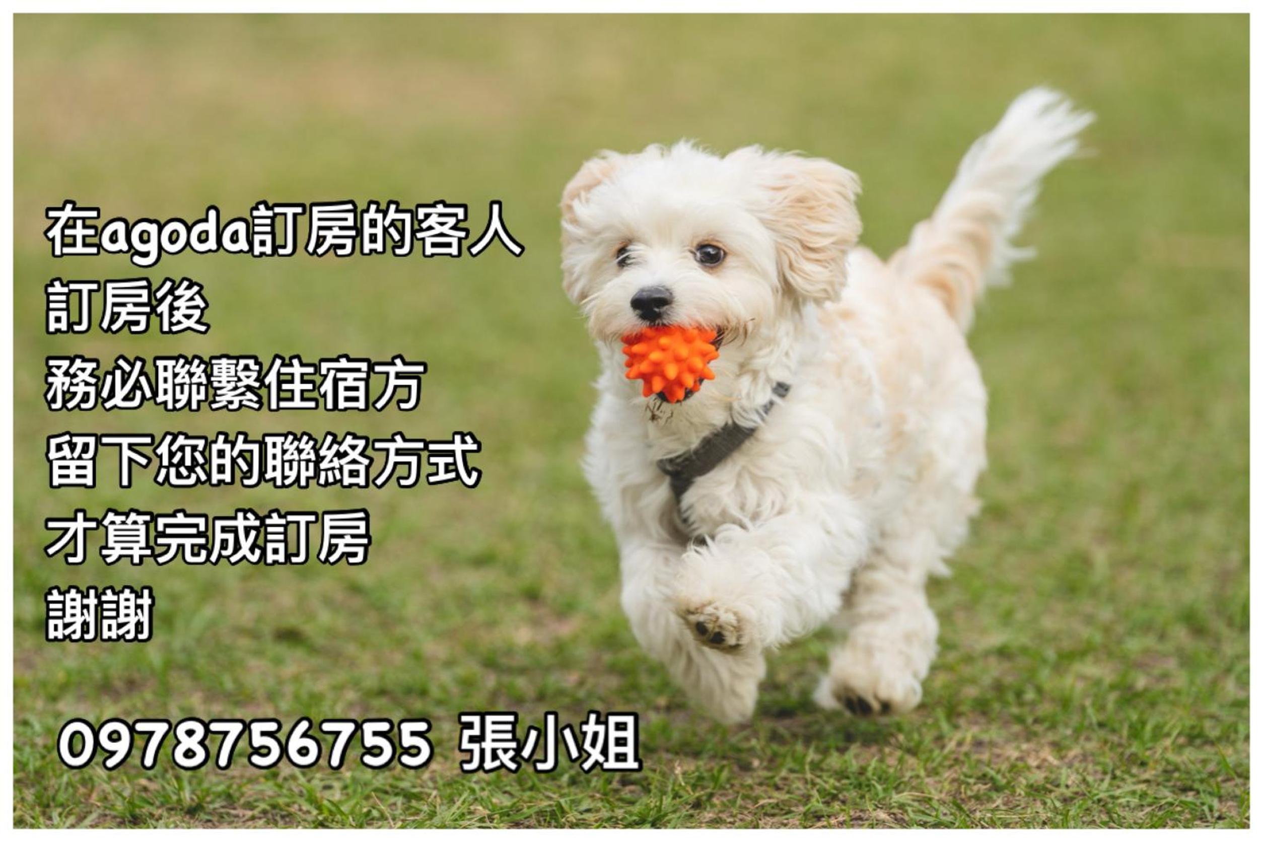 Photo 25