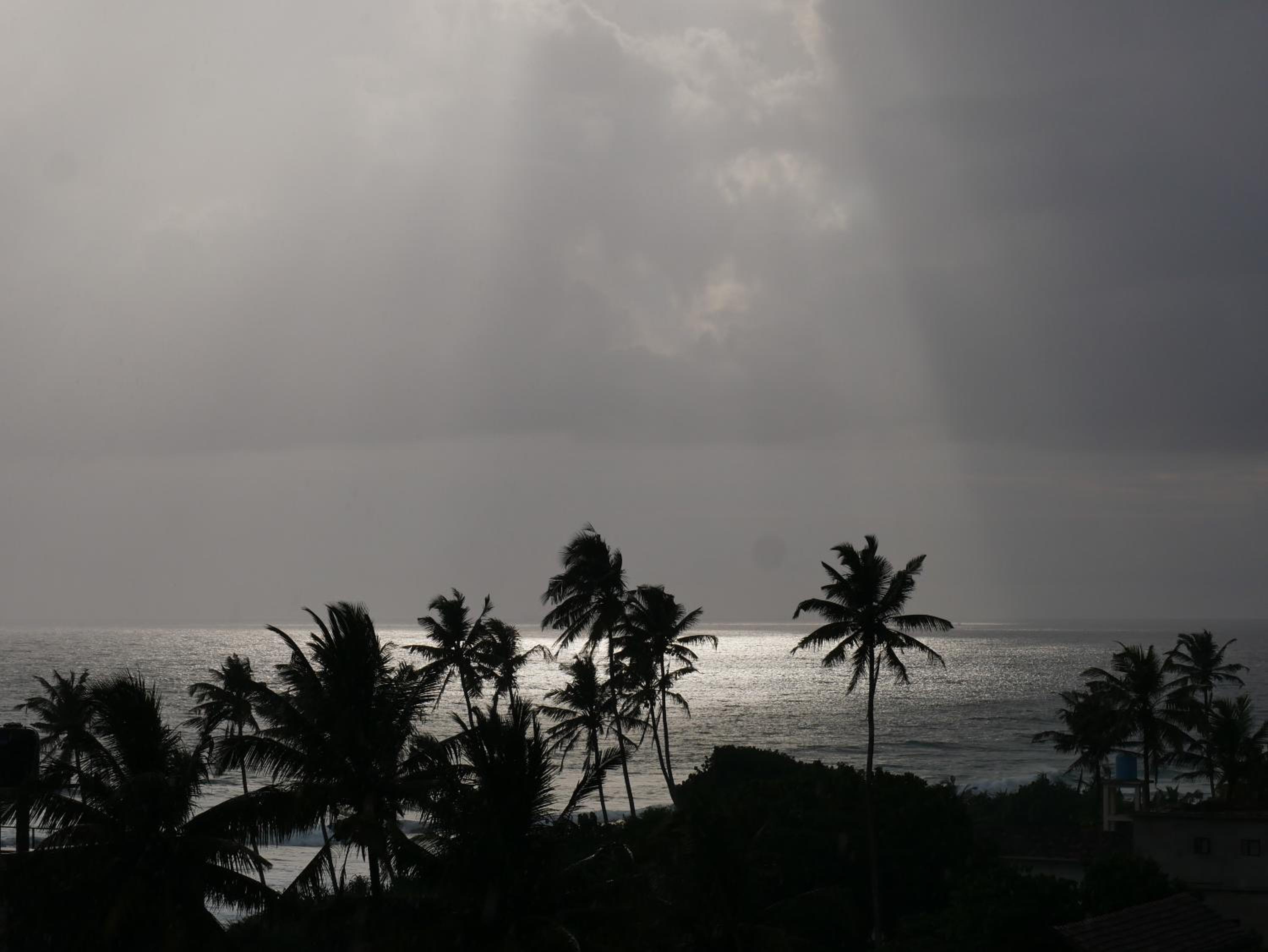 Photo 43