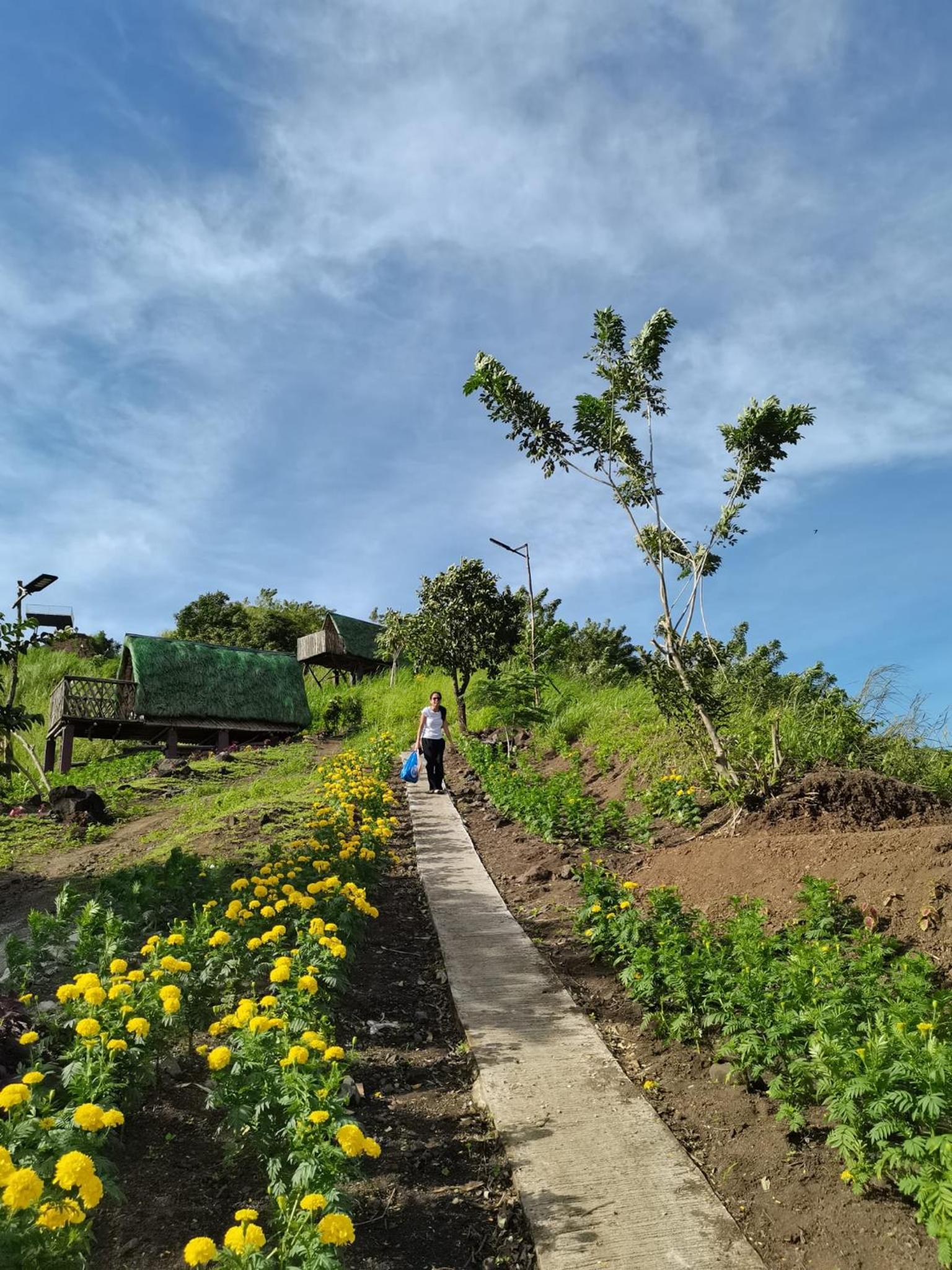 MIRA AgroPark view 3