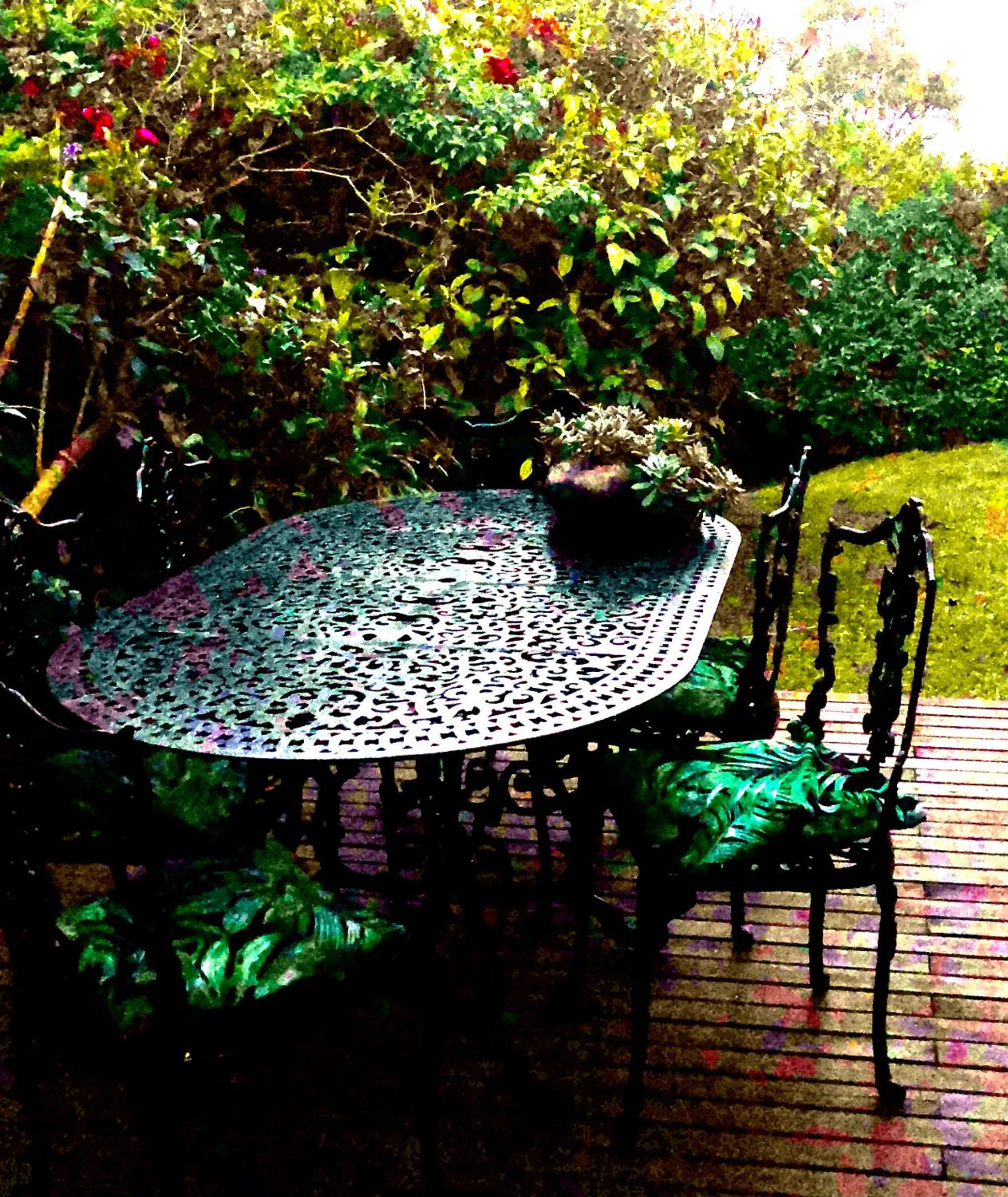 Sherwood Garden Cottage view 5