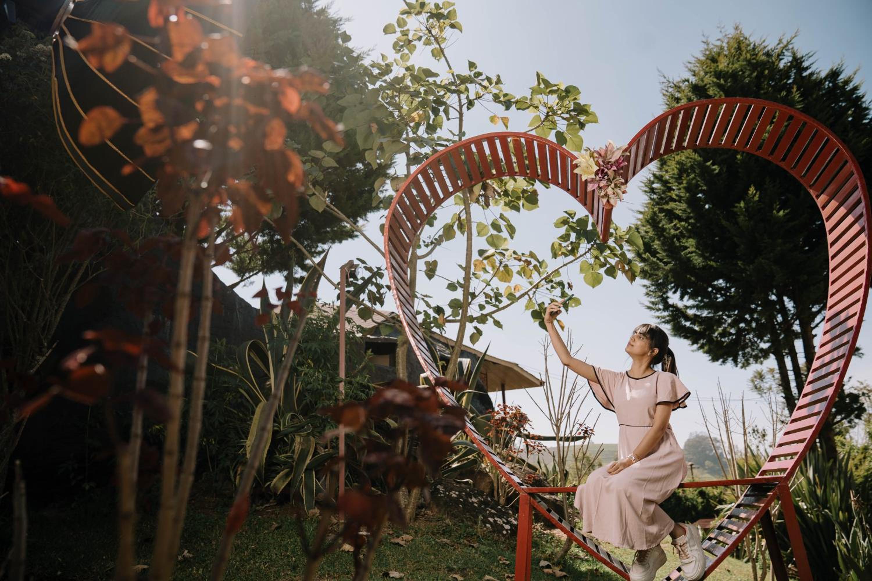 Photo 50