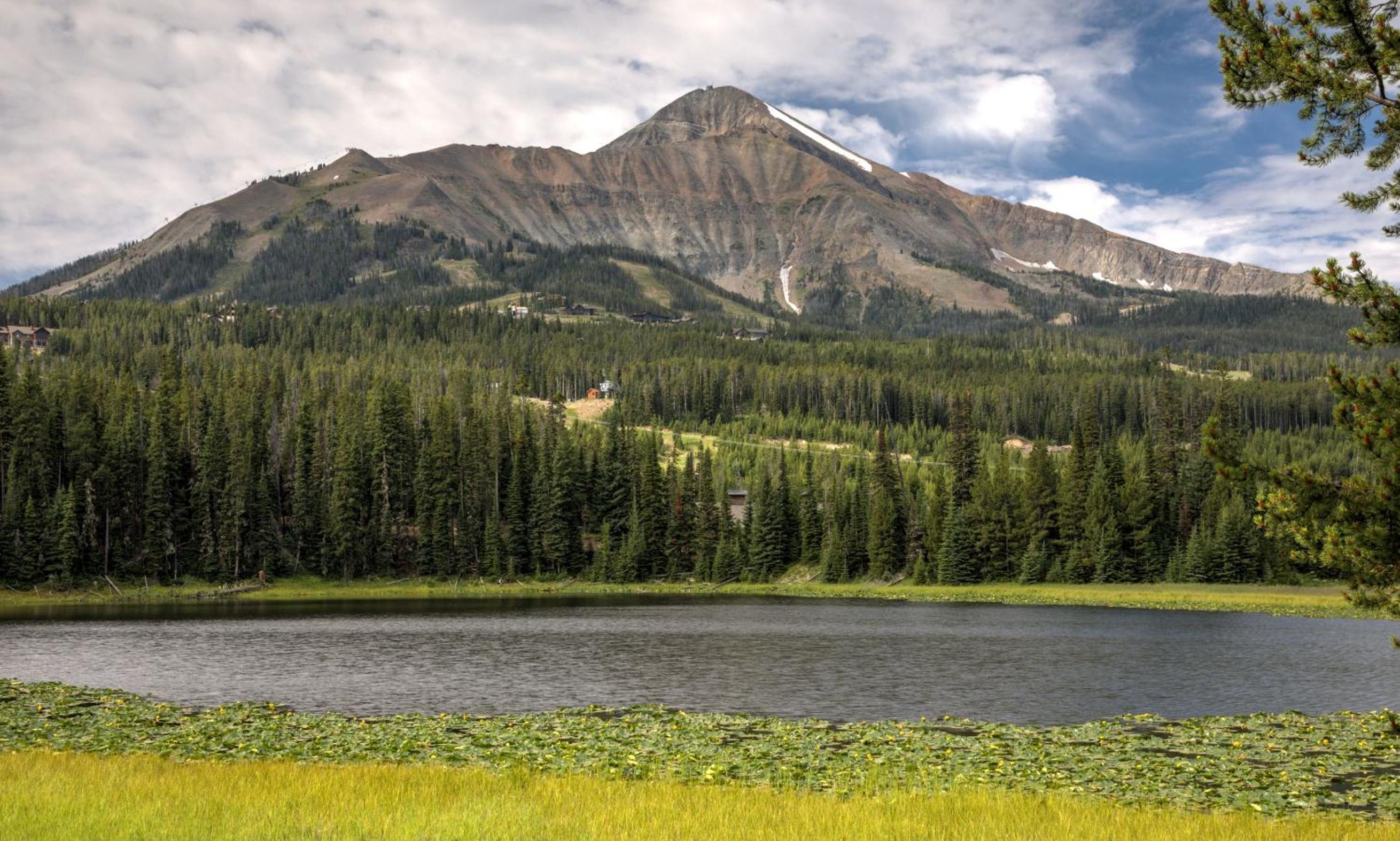 Lakeview Chalet 7 Treeline