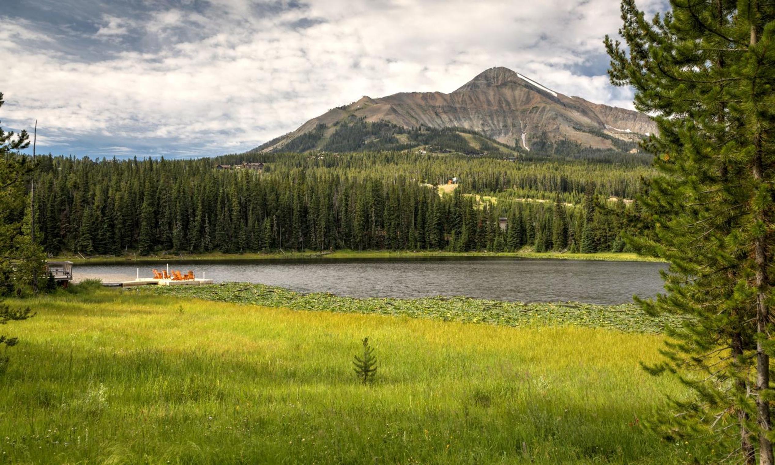 Lakeview Chalet 7 Treeline