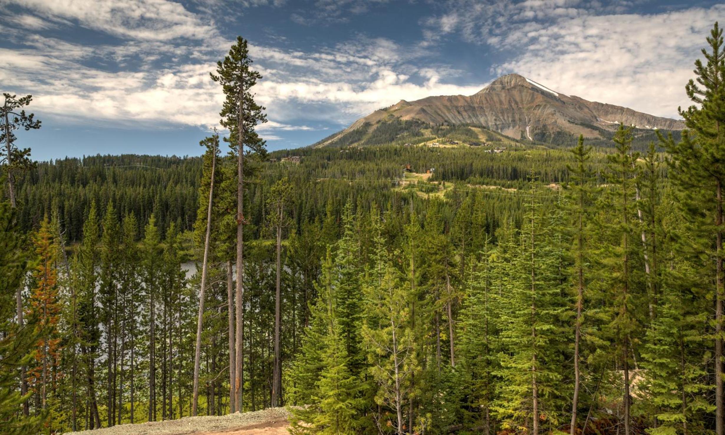 Lakeview Chalet 7 Treeline