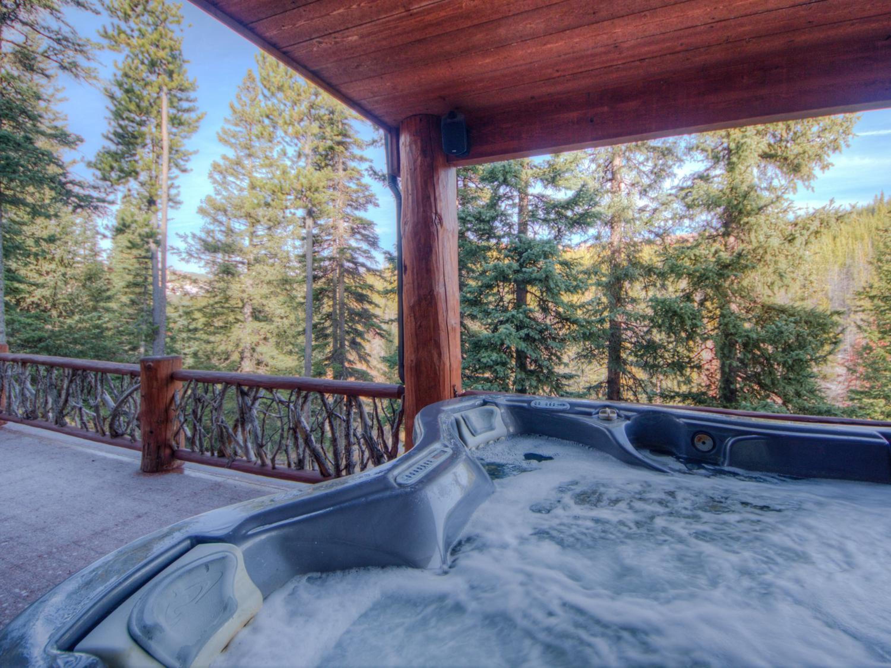 MV Big Dog Lodge view 2