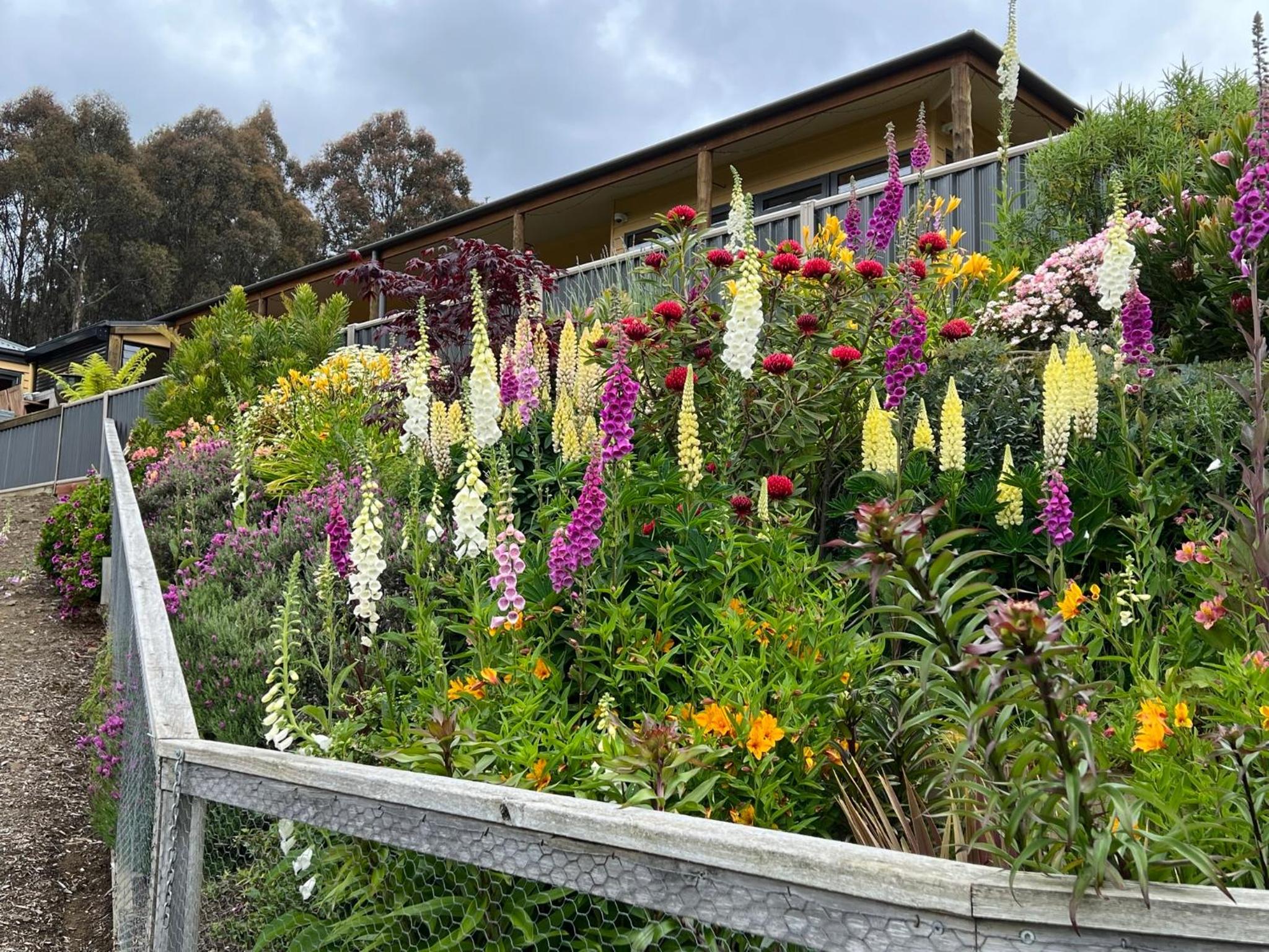 Amaroo with a view set on a 50 Acre Hobby Farm - Property Image 36