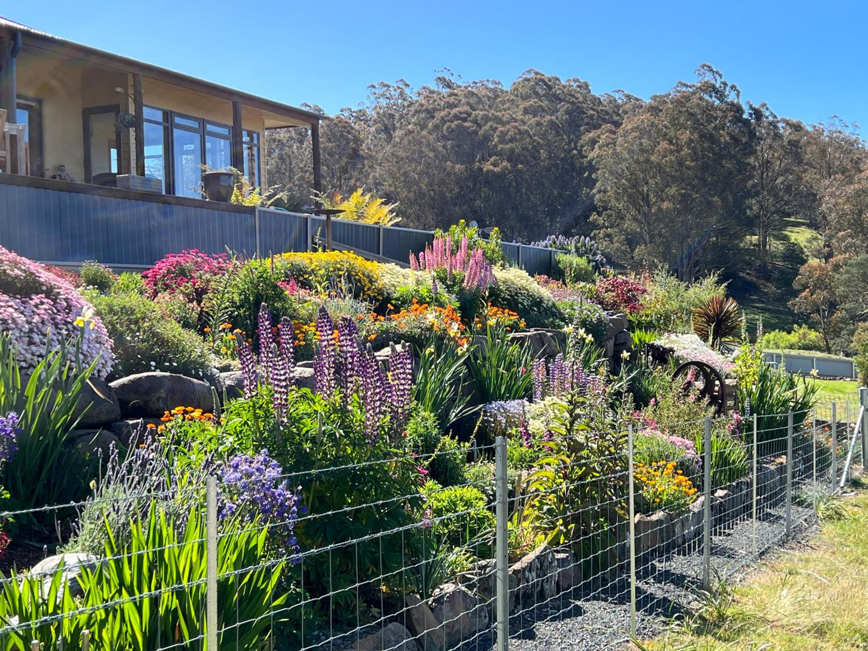 Amaroo with a view set on a 50 Acre Hobby Farm - Property Image 27