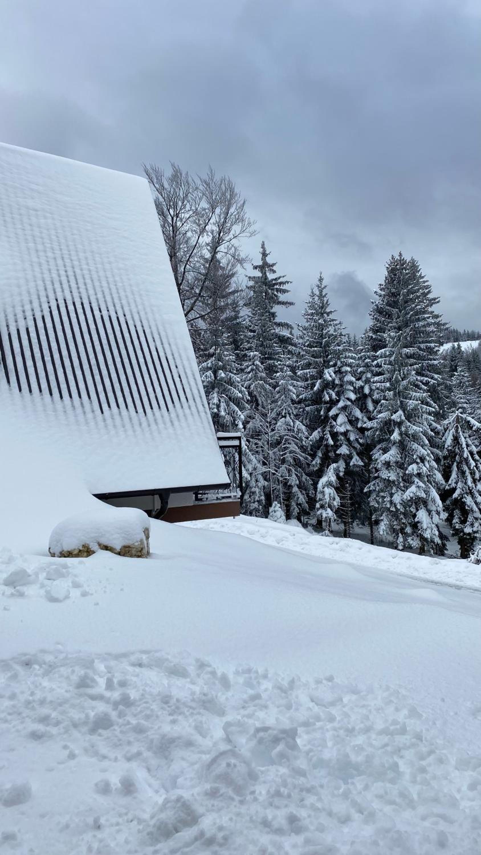 Alpi Cabin Pridolci