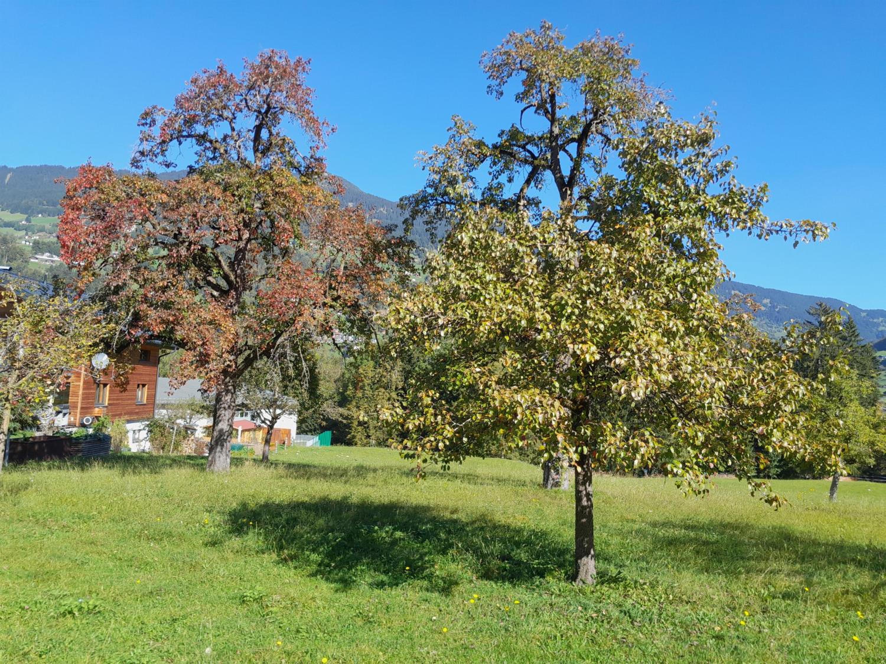 Chalet Keßler