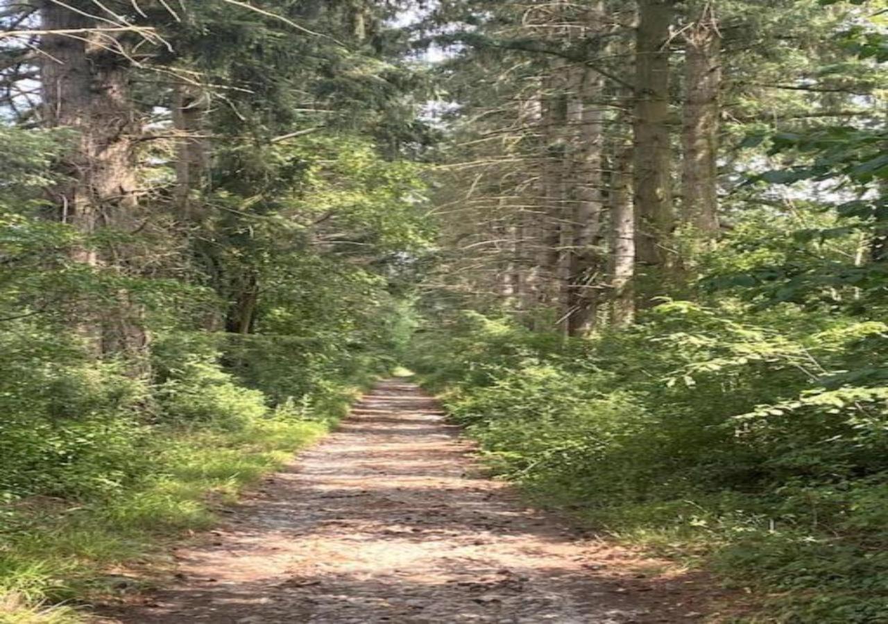 Charming Chalet Whistler in the Heart of Durbuy