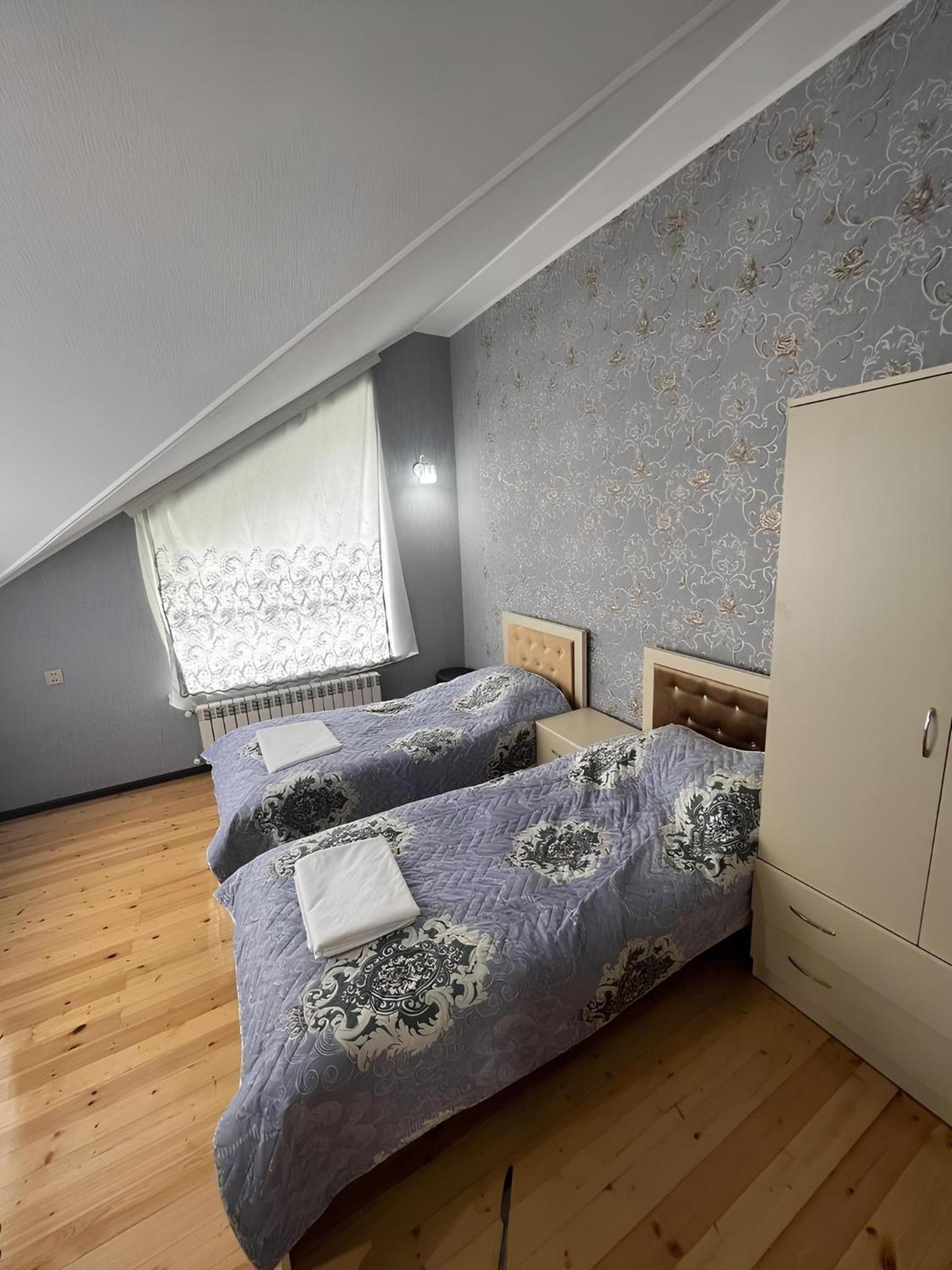 Gabala gray villa