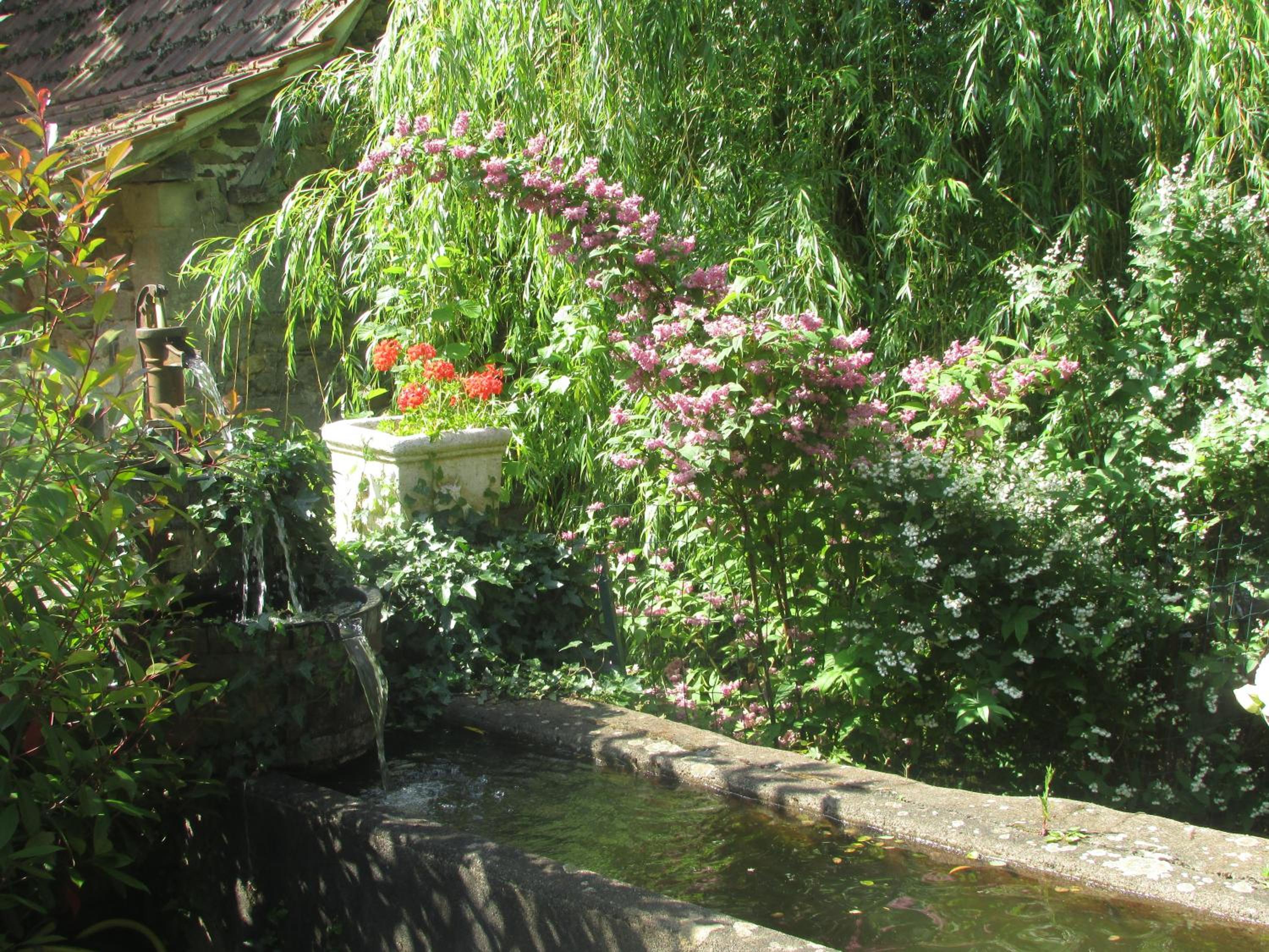 Photo 35