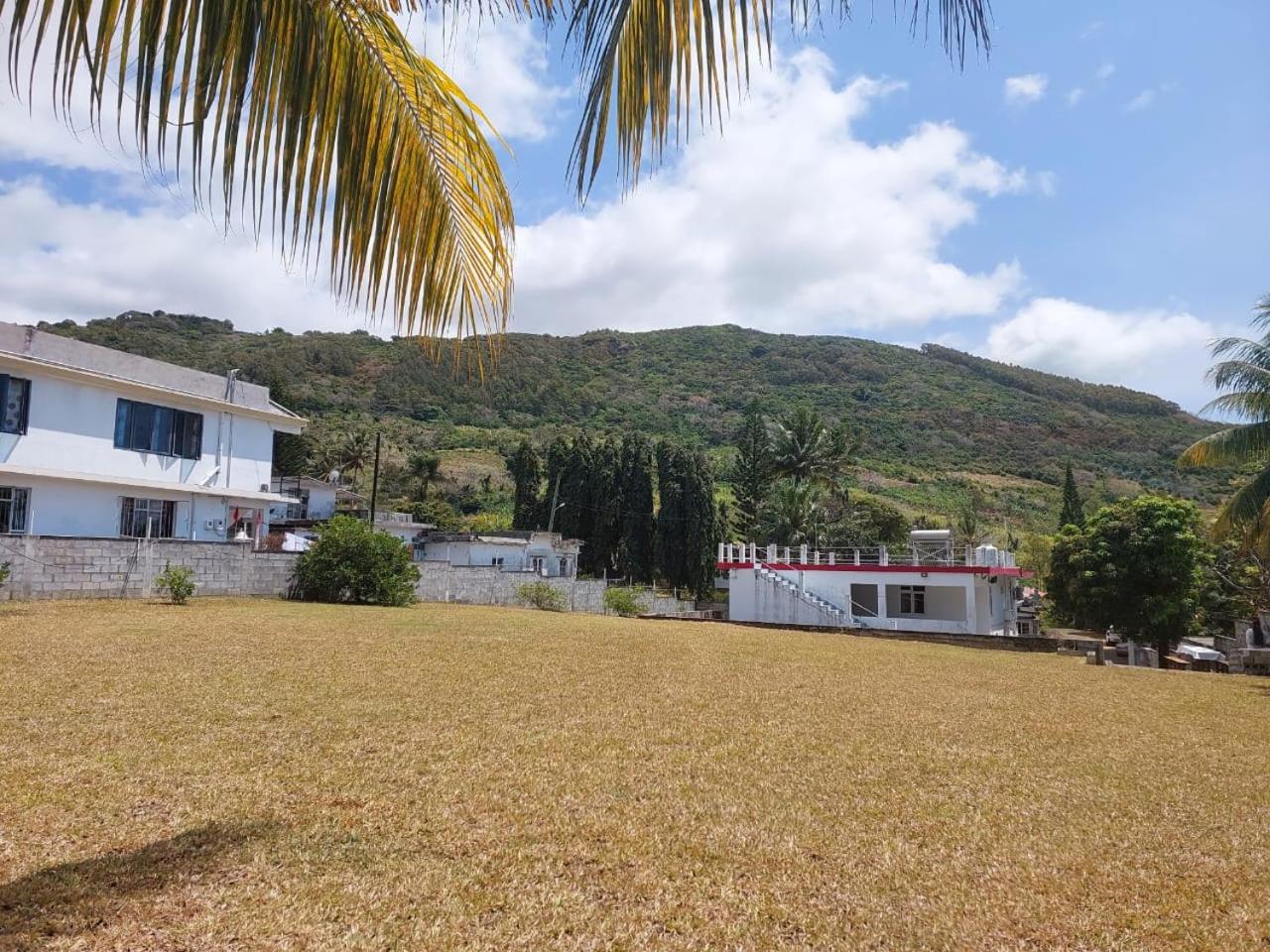 Cocotiers