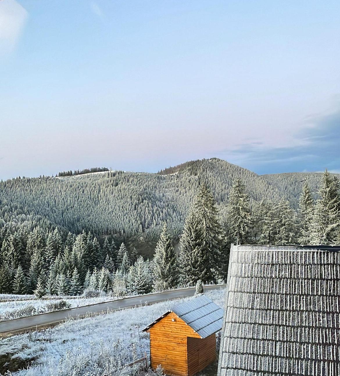 Apartman Mountain View