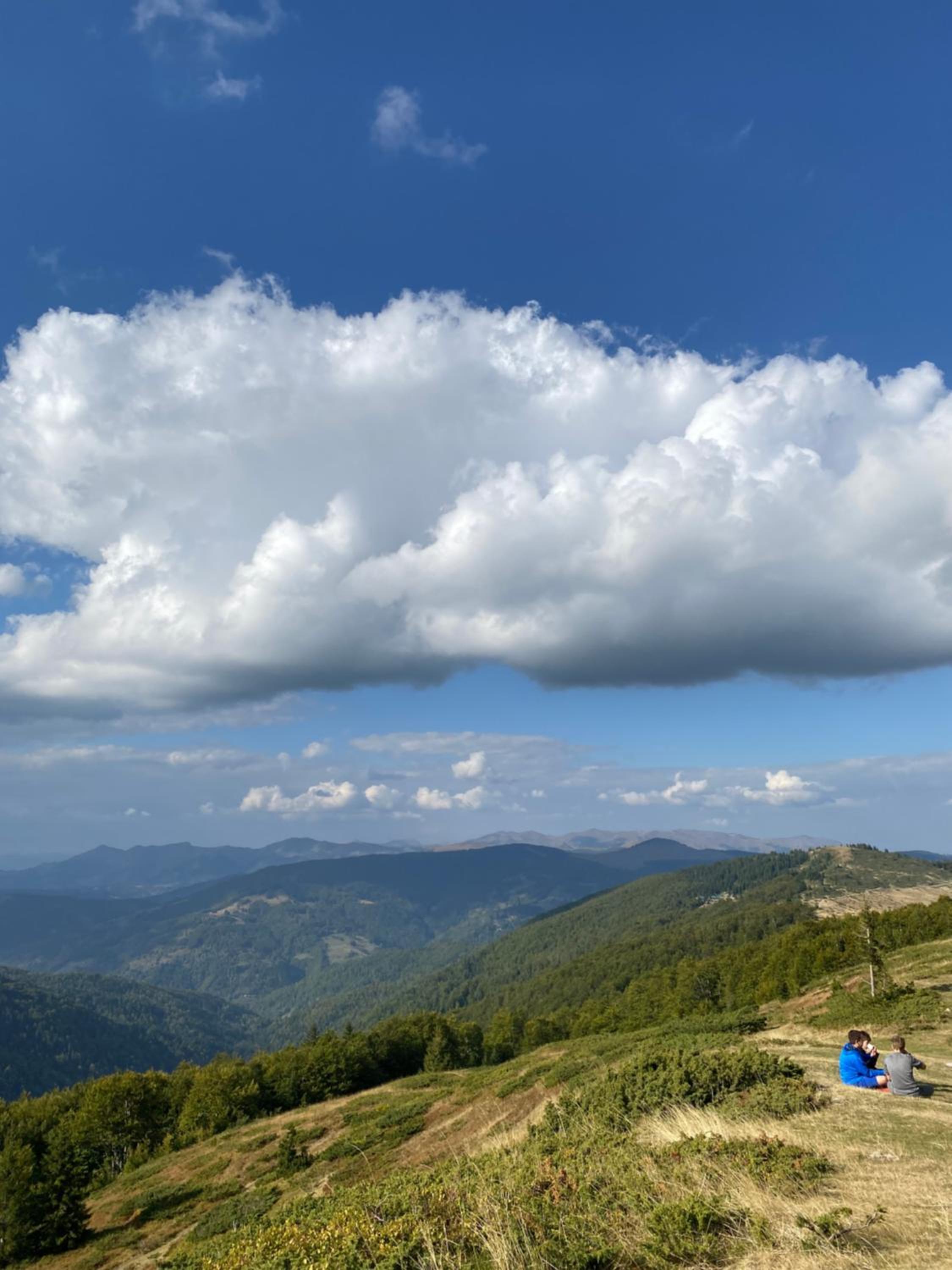 Mountin cottage Hajdi