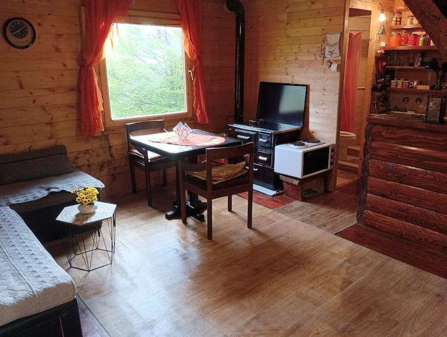 Mountin cottage Hajdi
