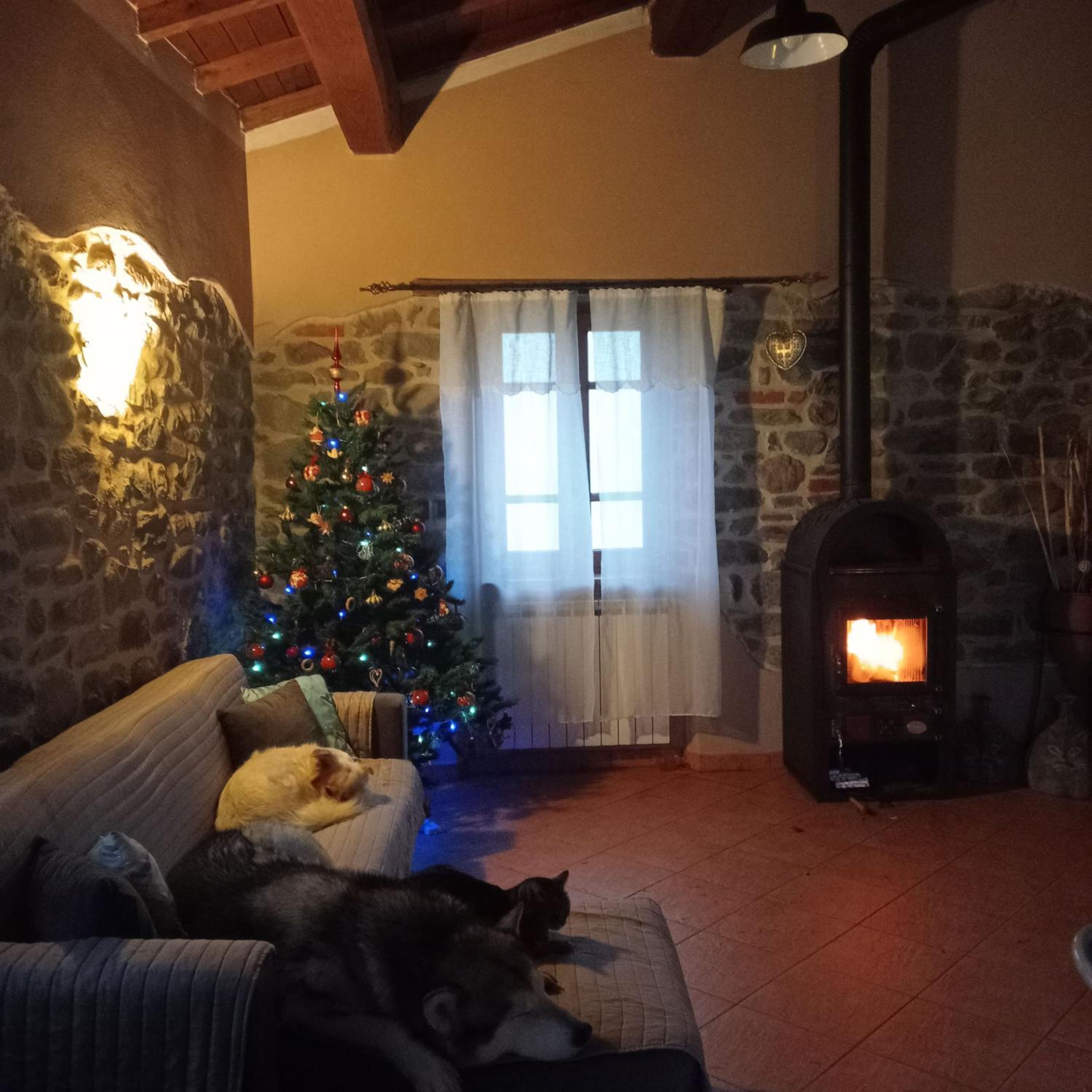 Photo 44