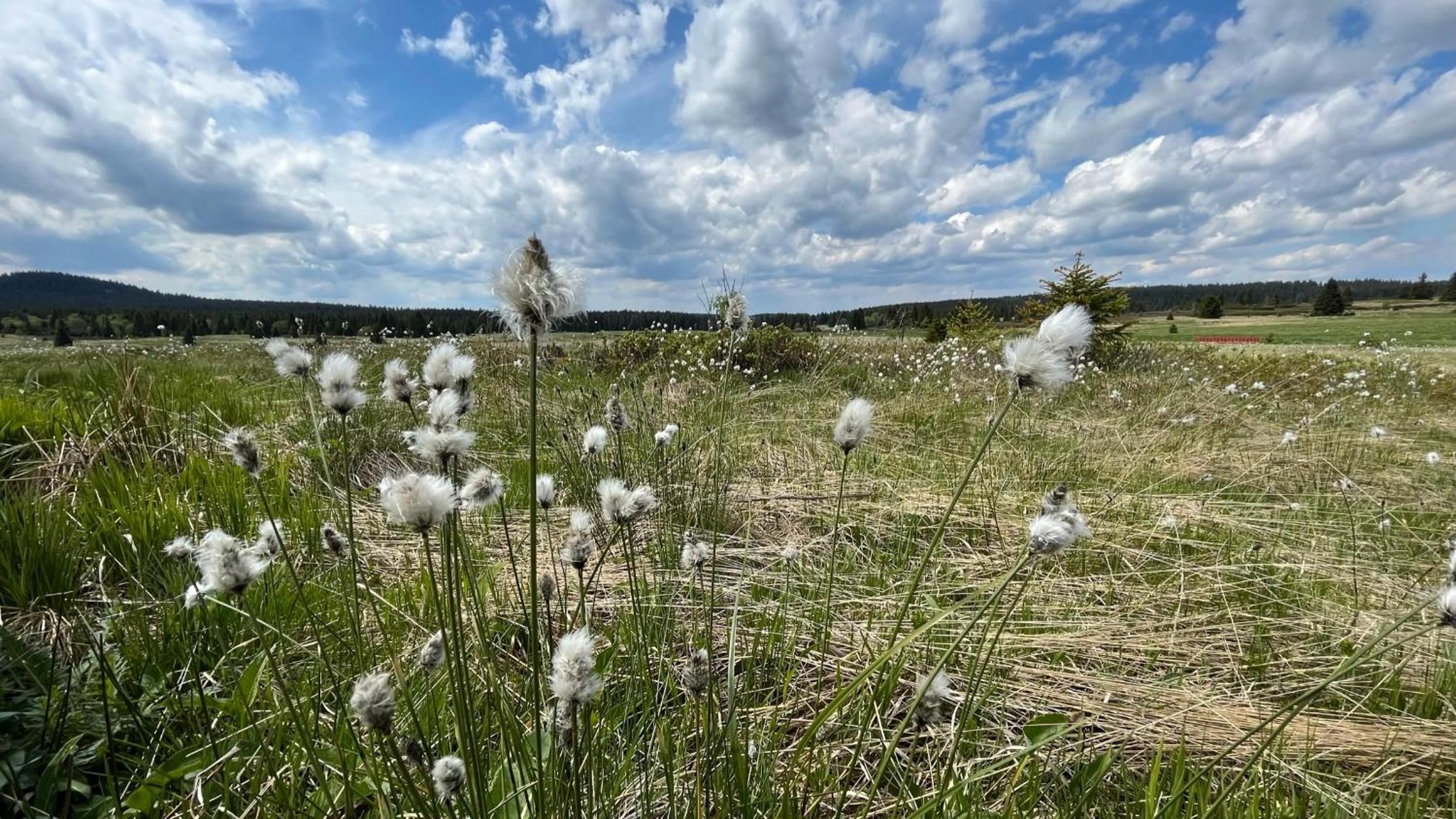 Apartmán Lamba Klínovec