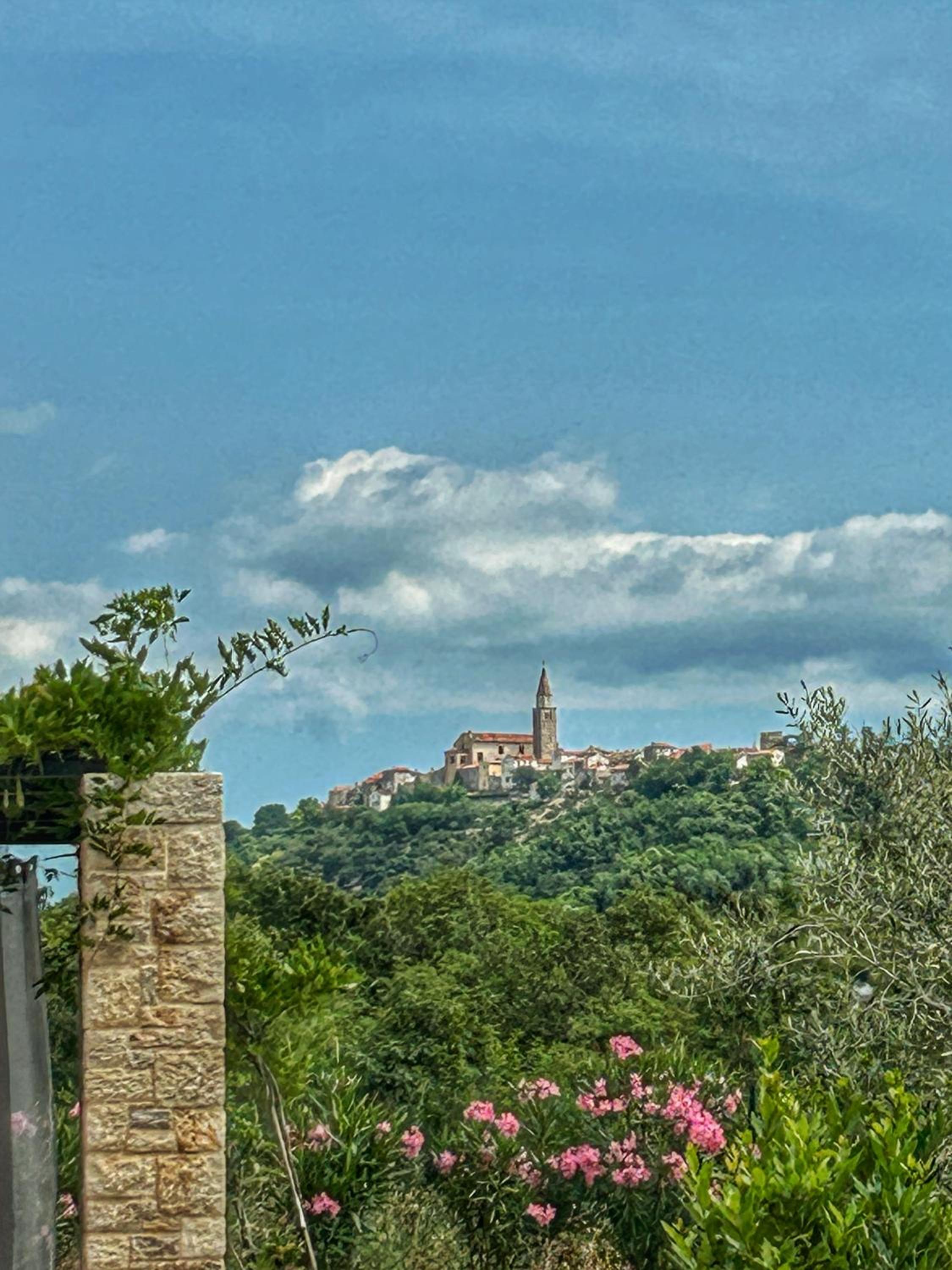 Villa La Vinella with heated pool view 3