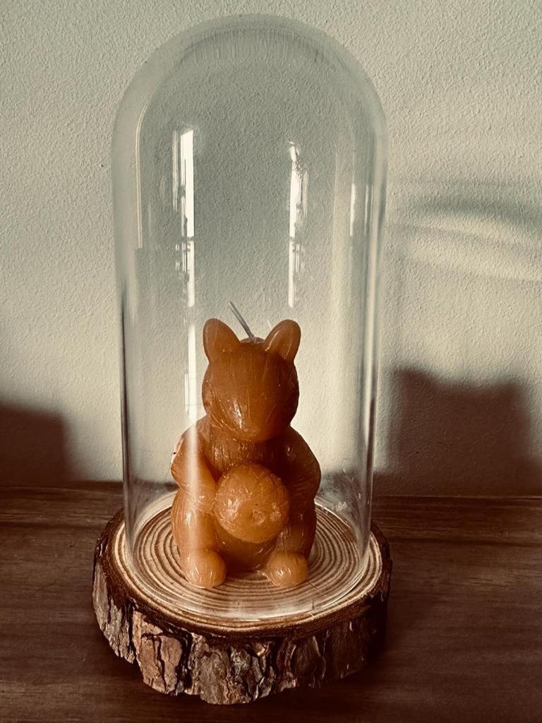 Photo 36