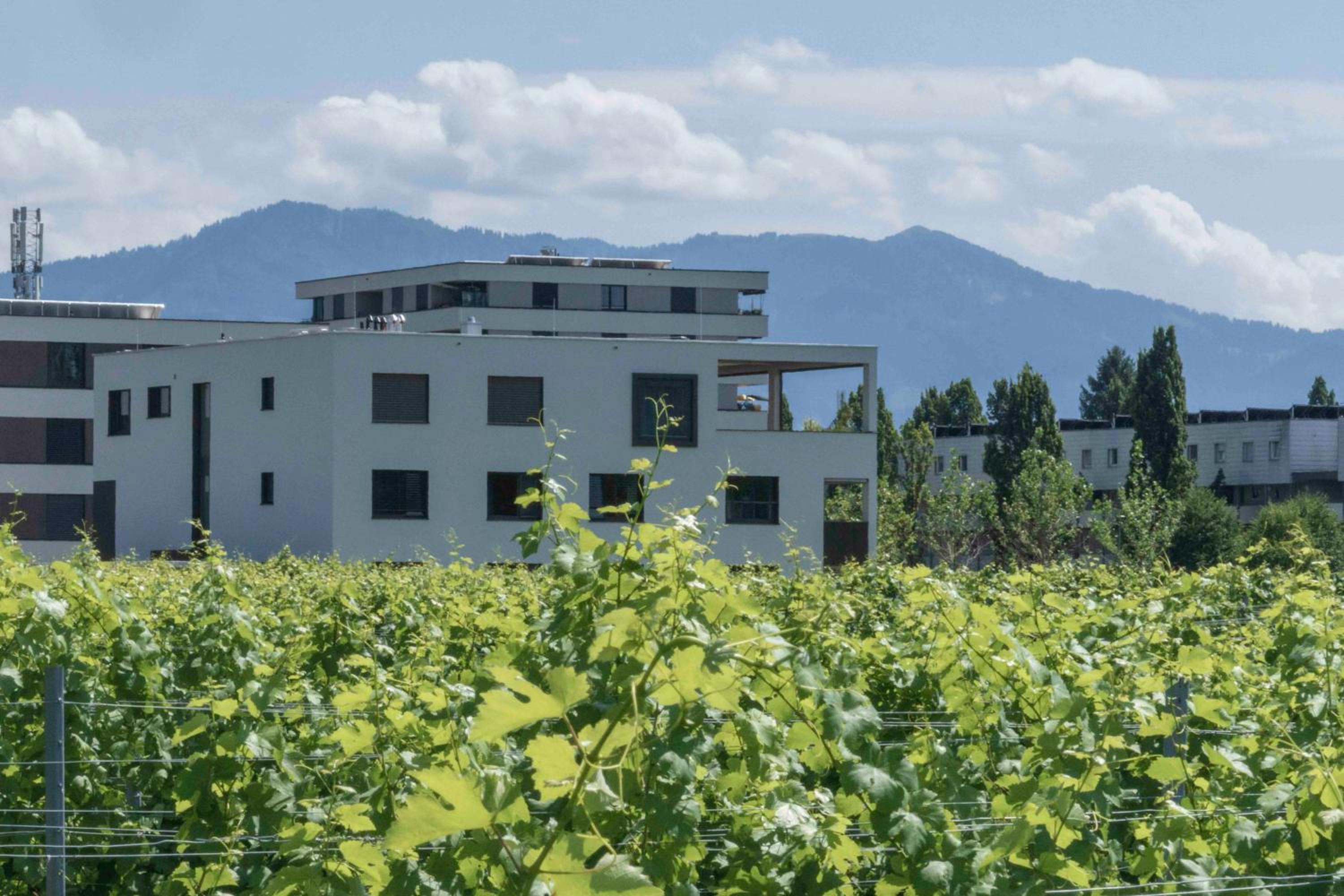 WELCOME 73m2 Ferienwohnung 10 Min. zum Bodensee