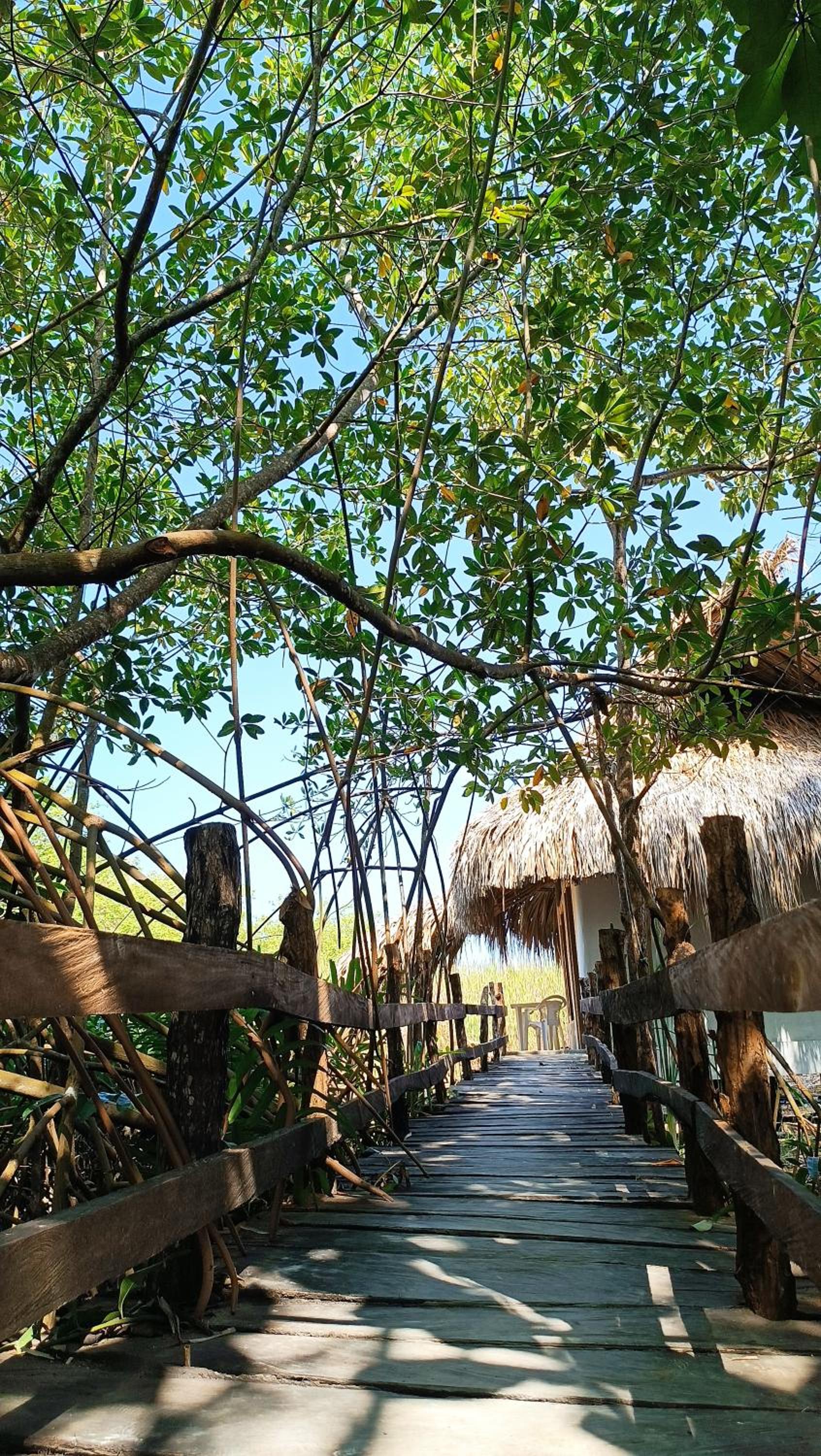 El Viejo del Mar