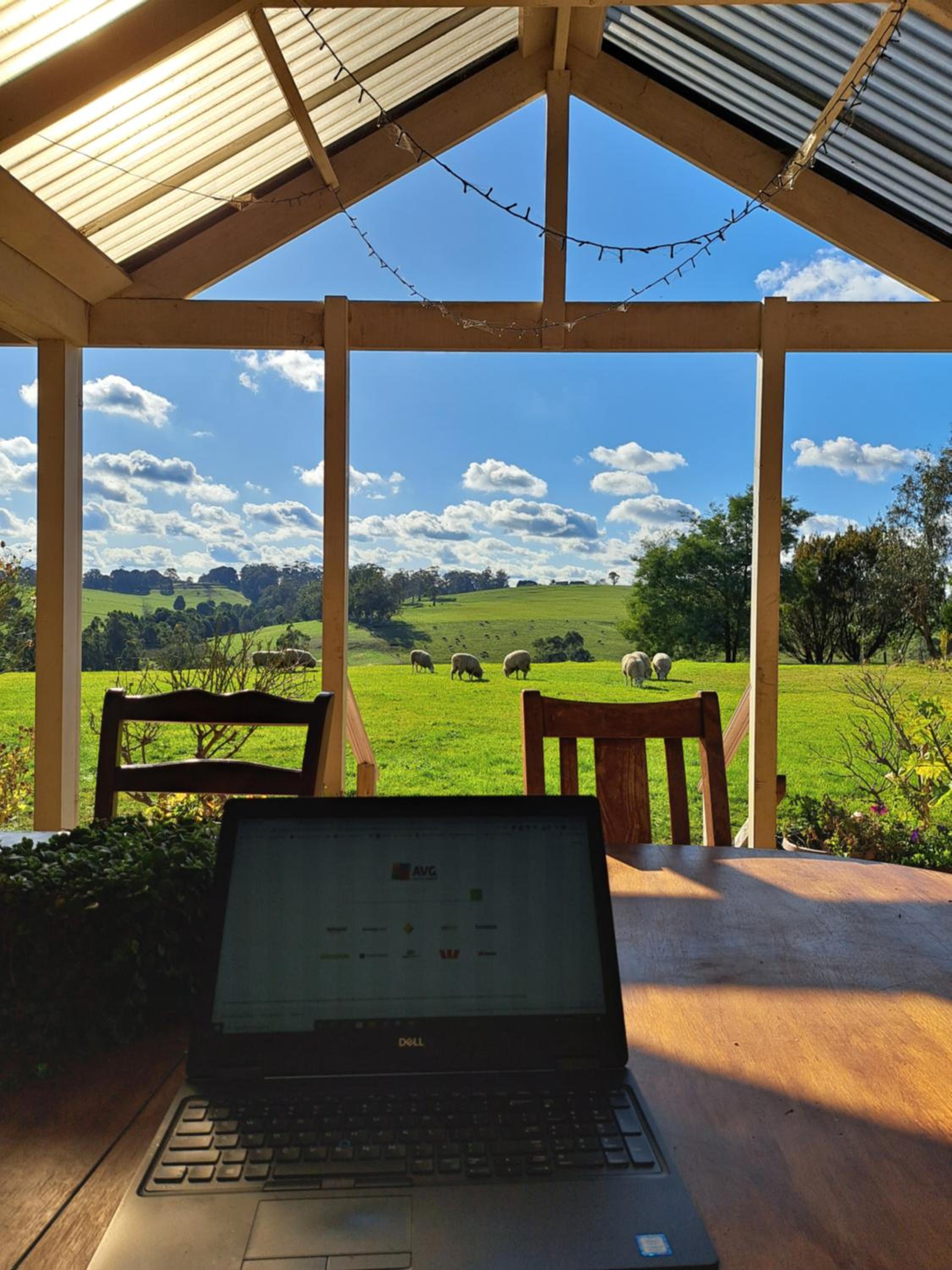 JillyPark Farmstay Experience Discover Authentic Farm Life Complimentary Breakfast Included