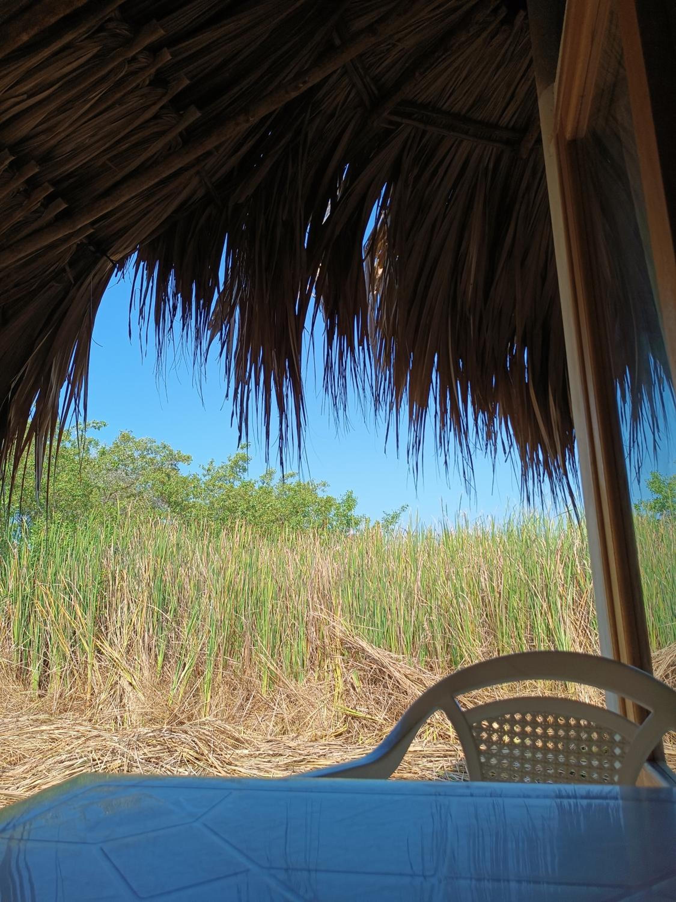 El Viejo del Mar