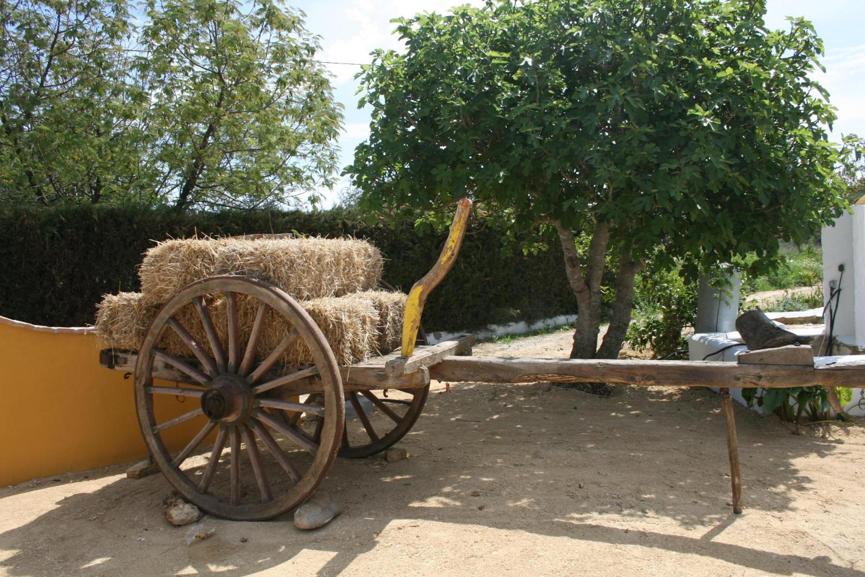 Hacienda los Majadales photo 5