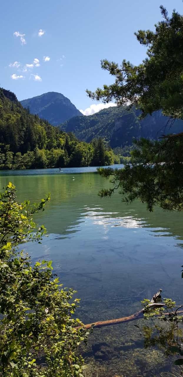 Zur urigen Kiefer