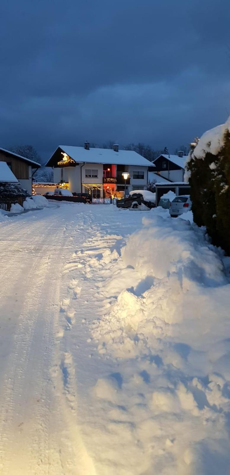 Zur urigen Kiefer