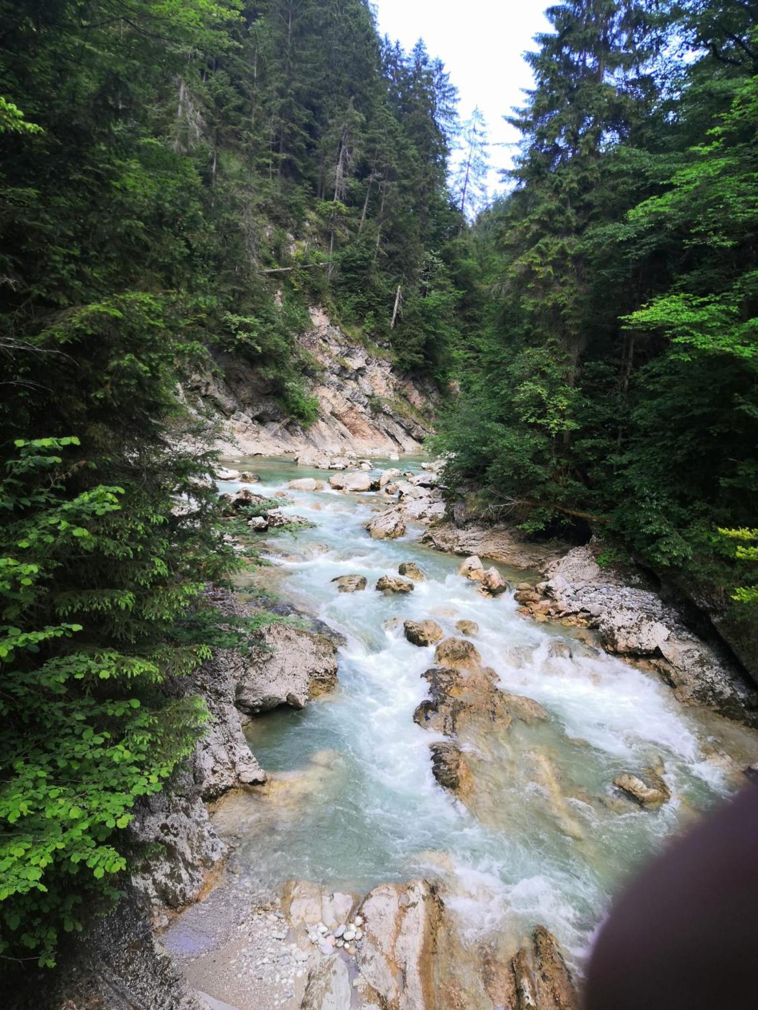 Zur urigen Kiefer