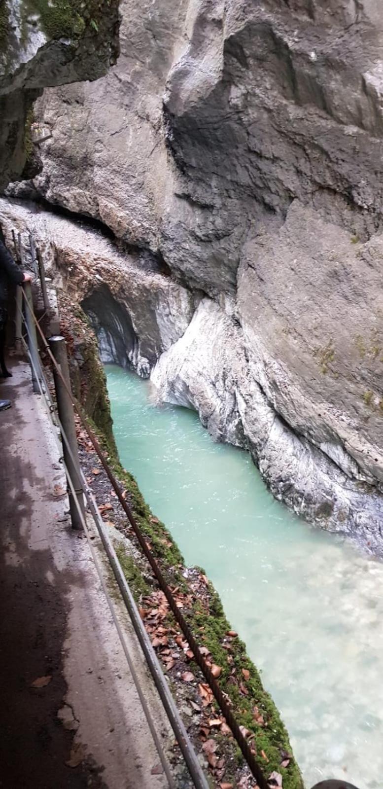 Zur urigen Kiefer