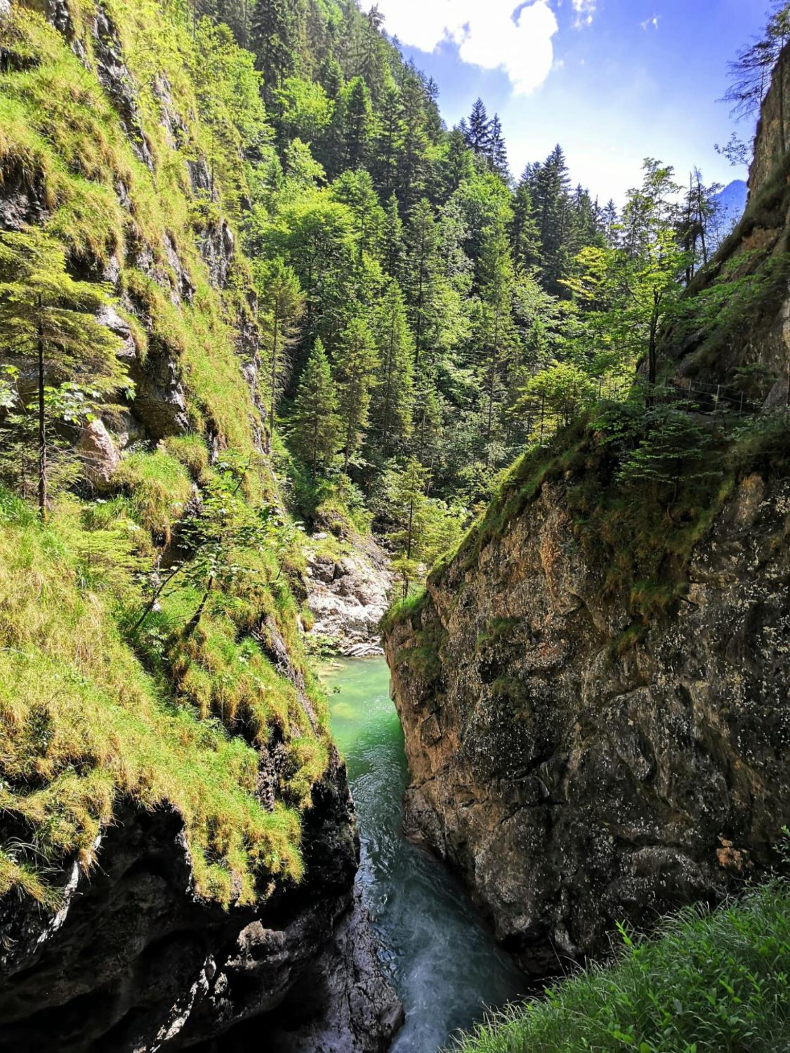 Zur urigen Kiefer