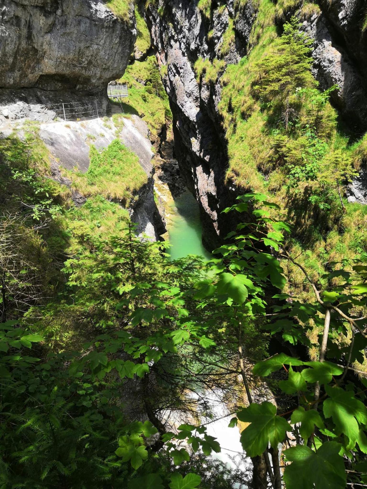 Zur urigen Kiefer