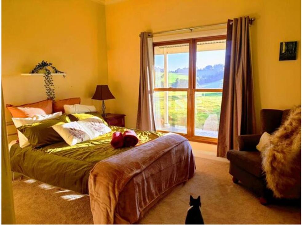 JillyPark Farmstay Experience Discover Authentic Farm Life Complimentary Breakfast Included