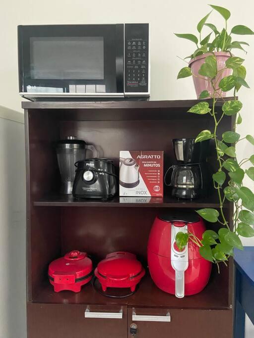 Palhoça- apto com Jardim para churrasco -Bromélias
