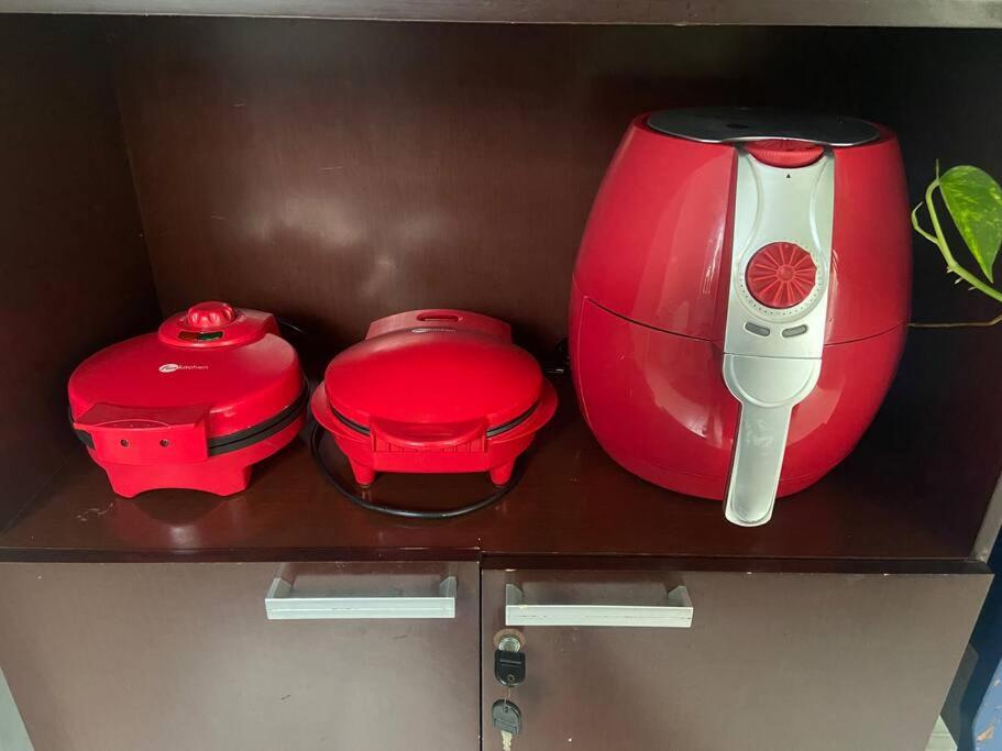 Palhoça- apto com Jardim para churrasco -Bromélias