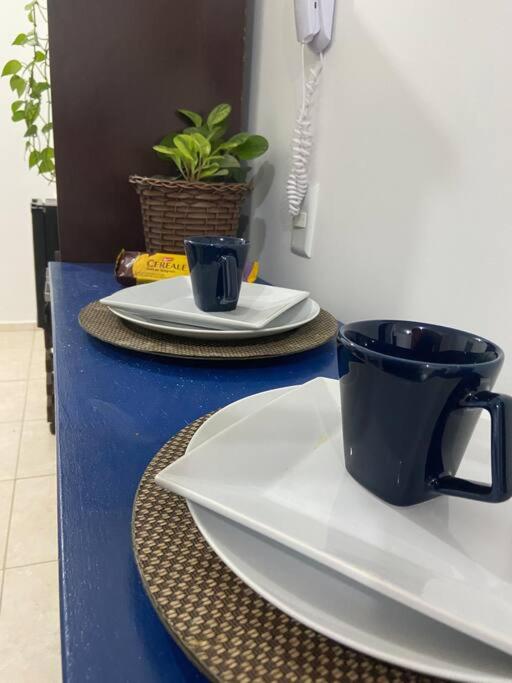Palhoça- apto com Jardim para churrasco -Bromélias