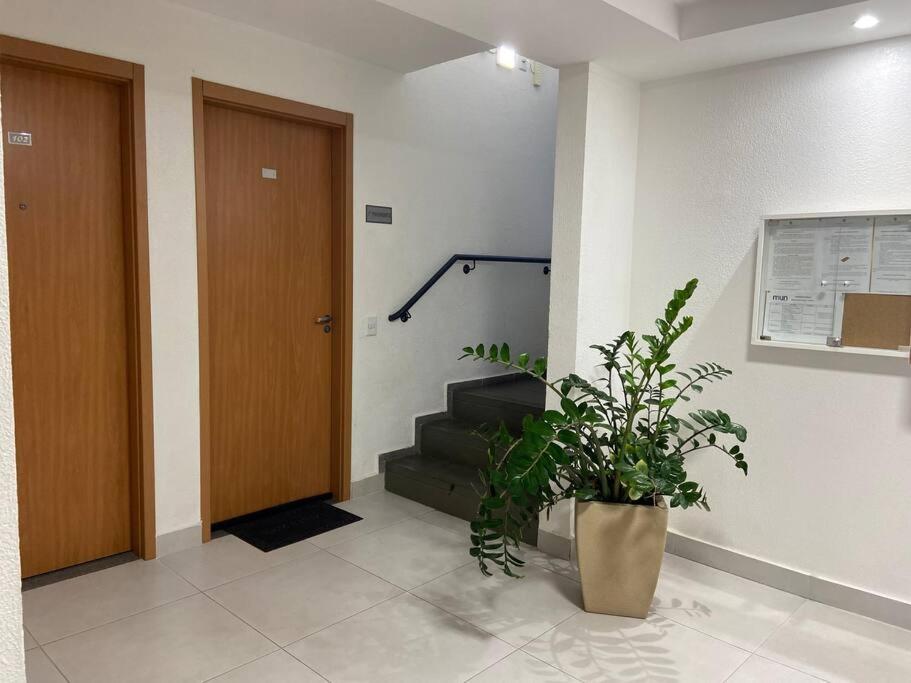Palhoça- apto com Jardim para churrasco -Bromélias