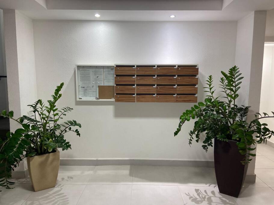 Palhoça- apto com Jardim para churrasco -Bromélias