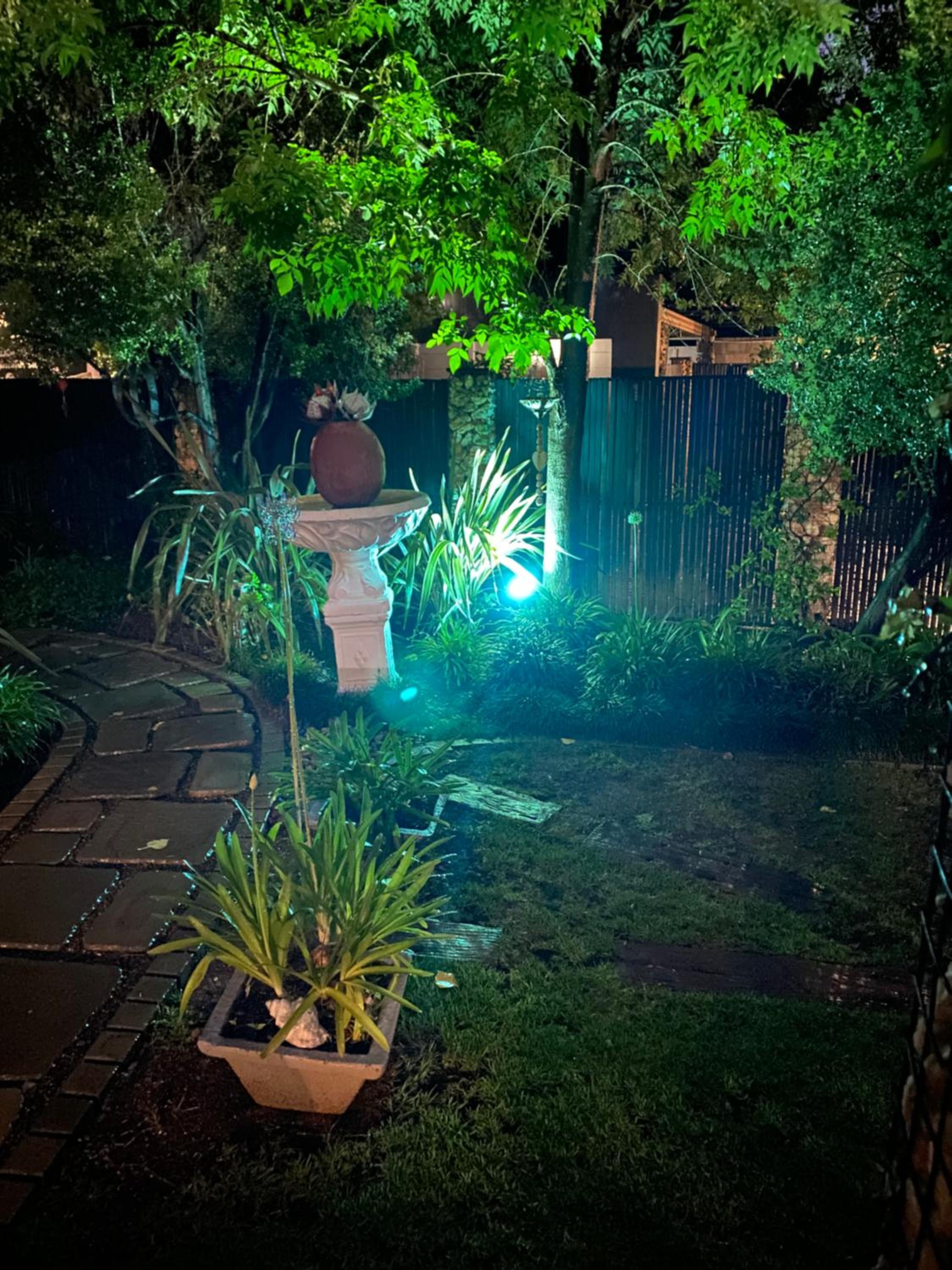 Cottonwood Guesthouse Oasis view 3