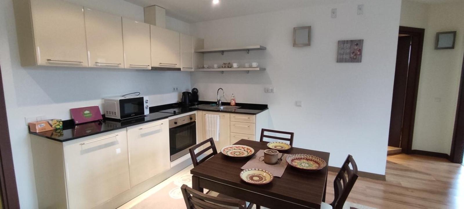 Terra SP apartments-Razlog