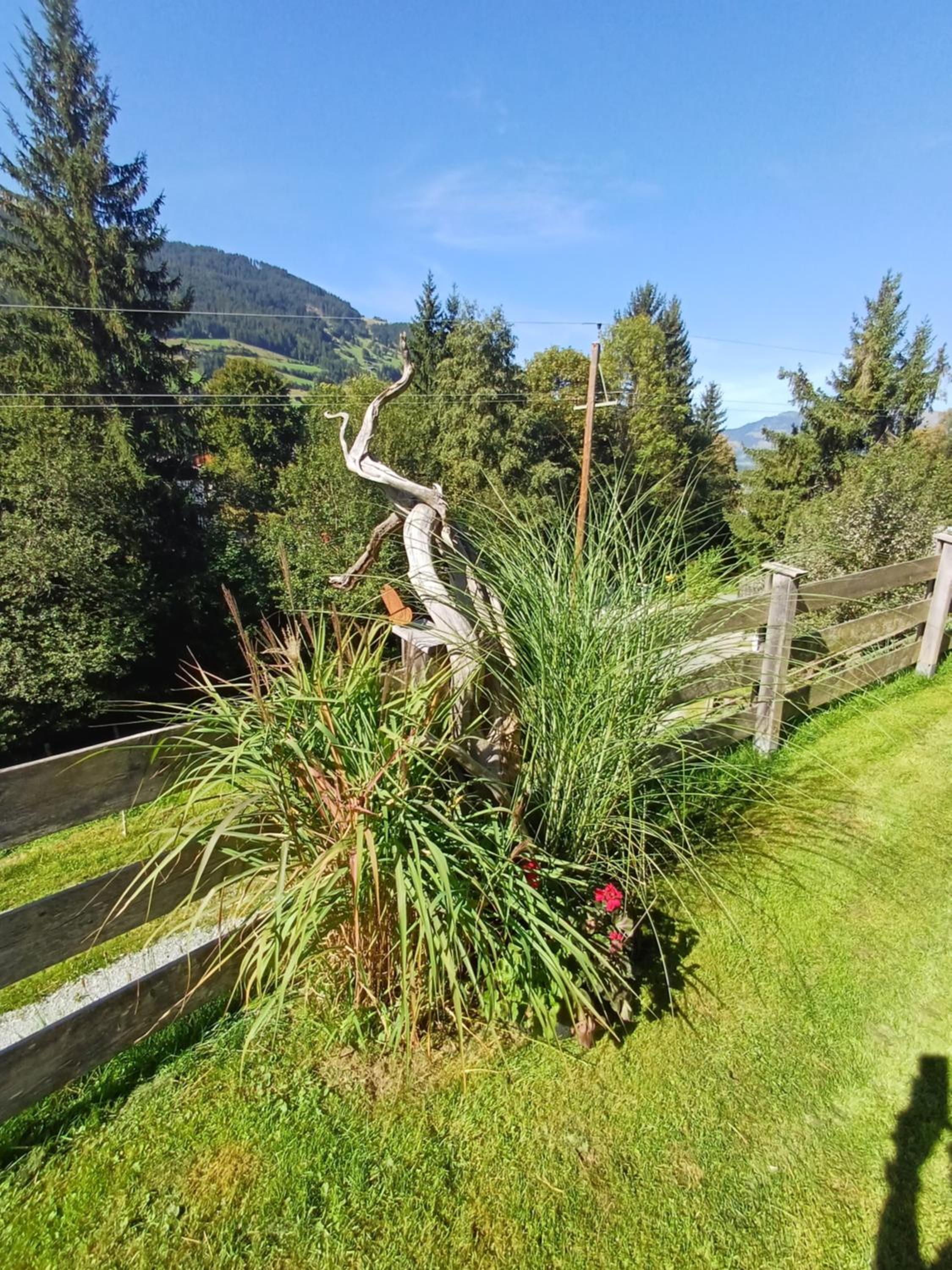 Ferienhaus Lemberger