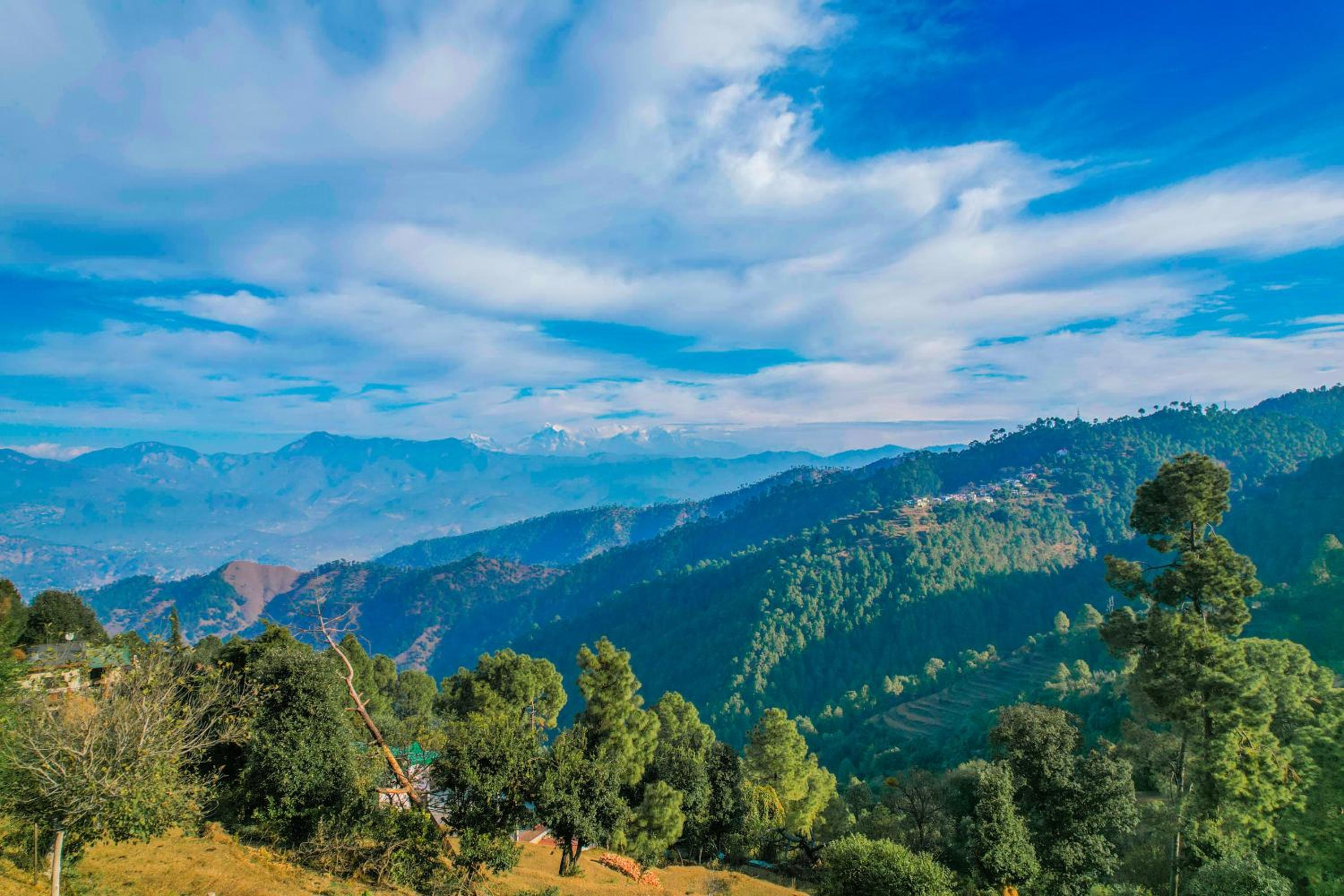 SaffronStays Edelweiss Bluebell House - 3BR English home with Himalayan peak views, bonfire & reading nook