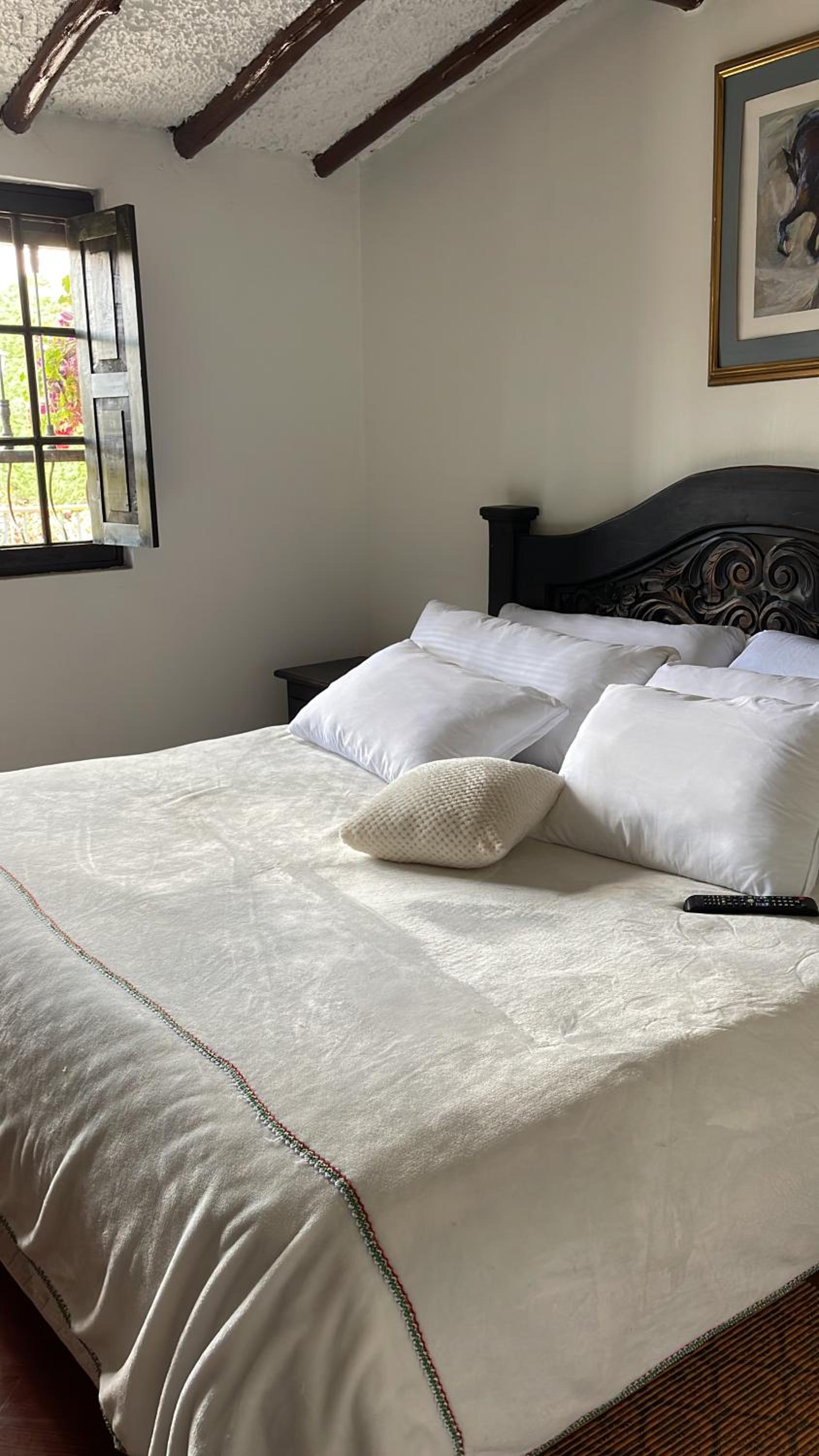 HERMOSA CASA CAMPESTRE - Property Image 25