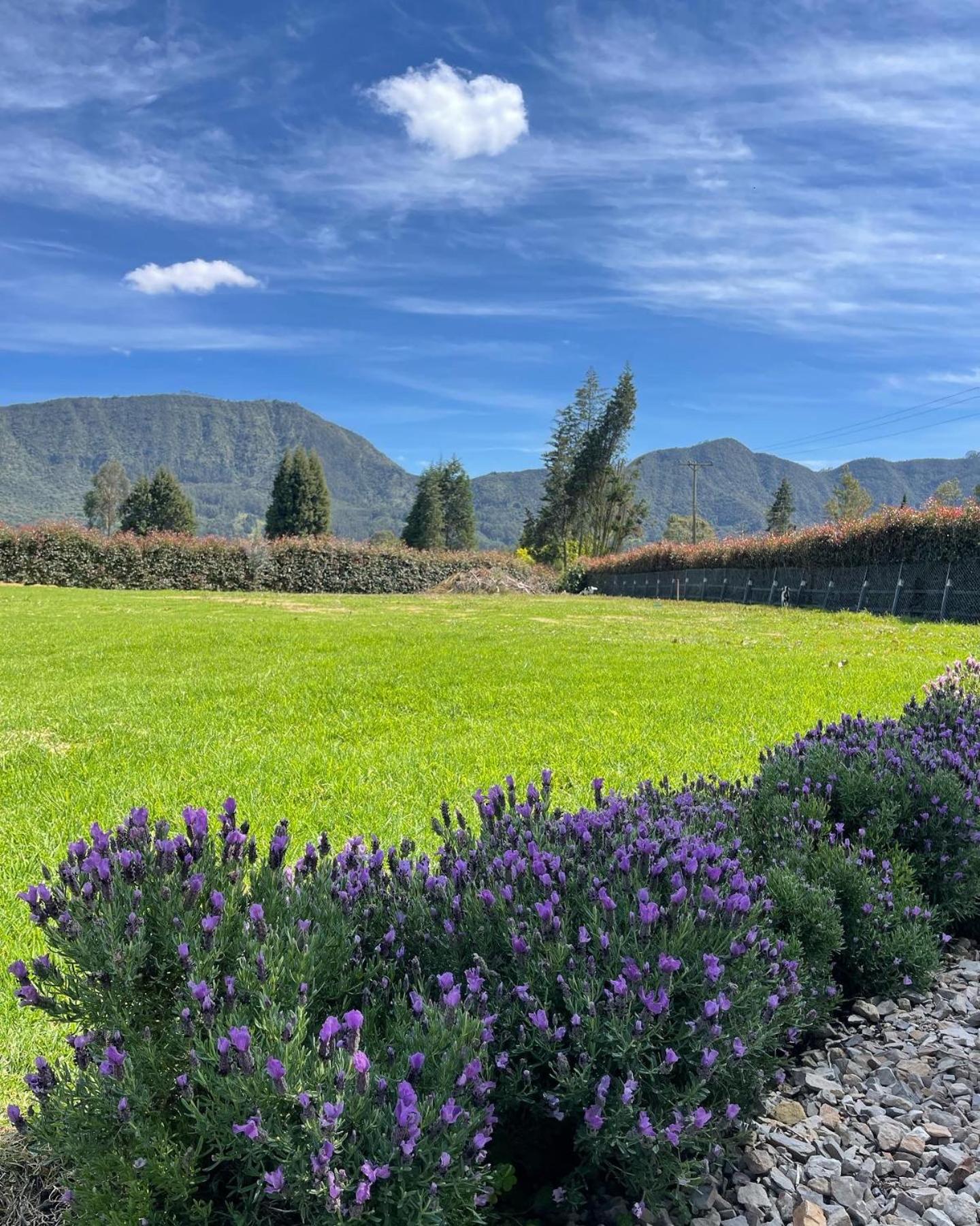 HERMOSA CASA CAMPESTRE - Property Image 4